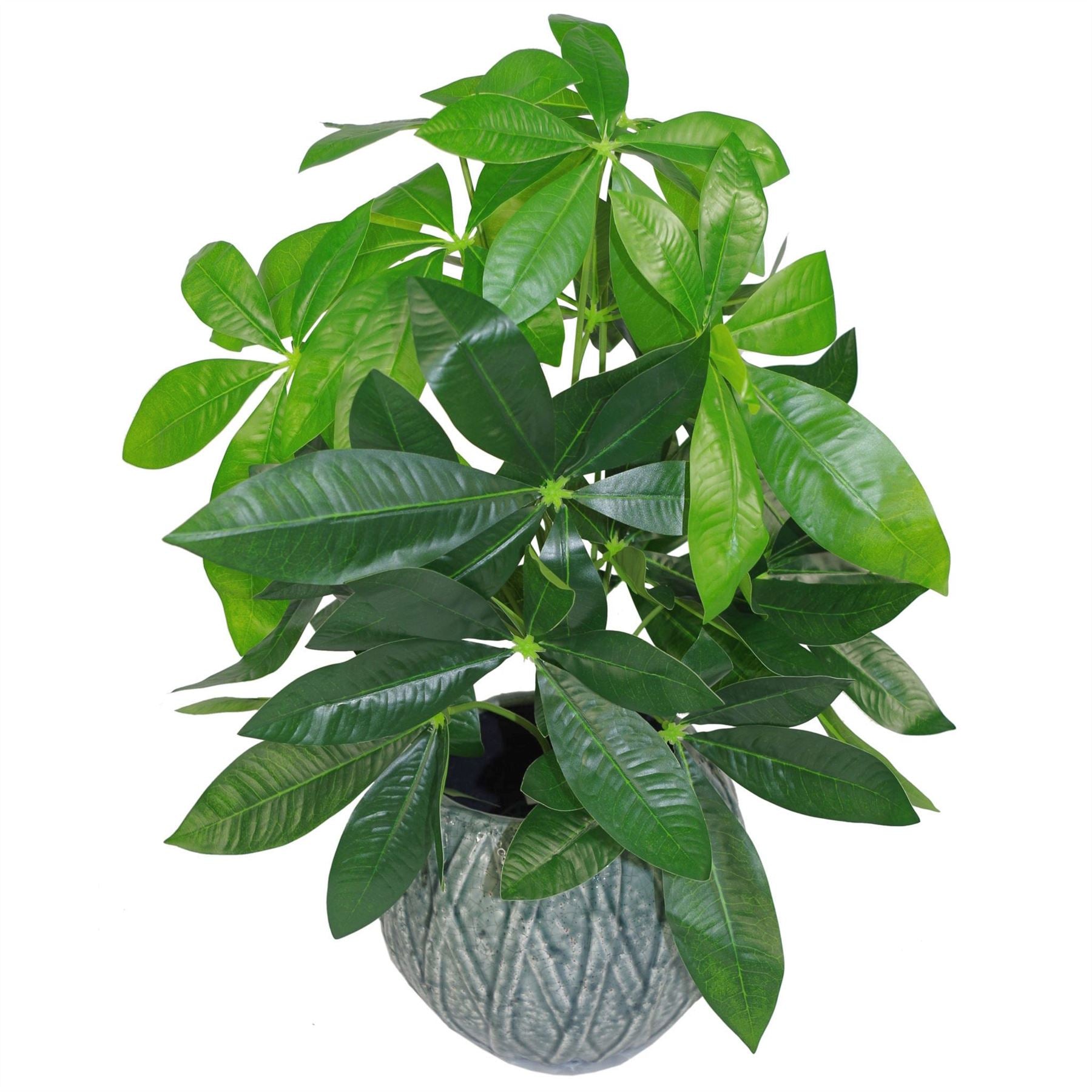 Leaf Design Tropical Artificial Jade Plant 50cm in Weighted Plastic Pot