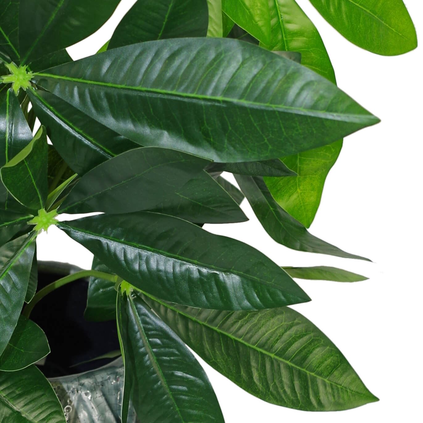 Leaf Design Tropical Artificial Jade Plant 50cm in Weighted Plastic Pot