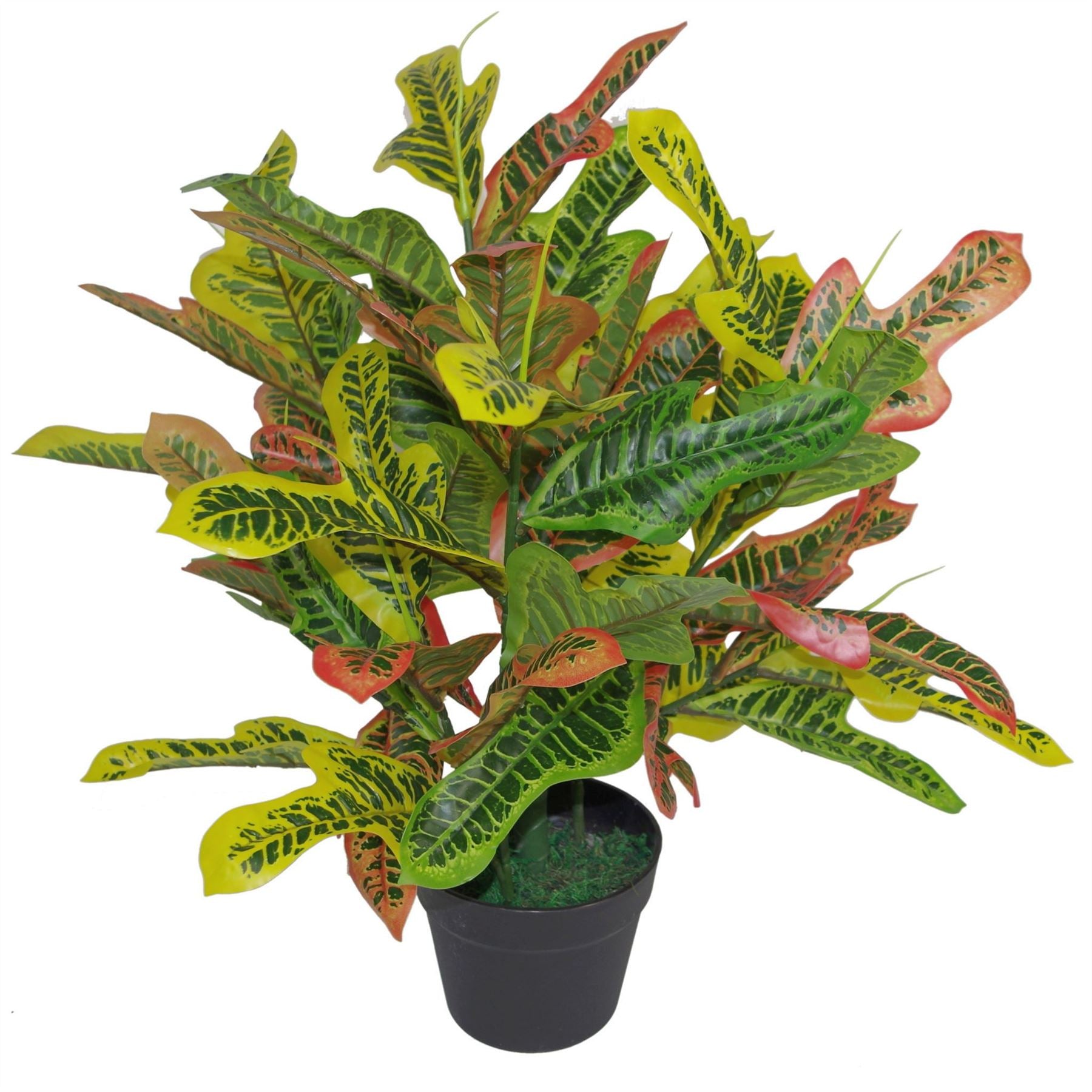 Leaf 65cm Artificial Croton Multicoloured House Plant in Weighted Plastic Pot