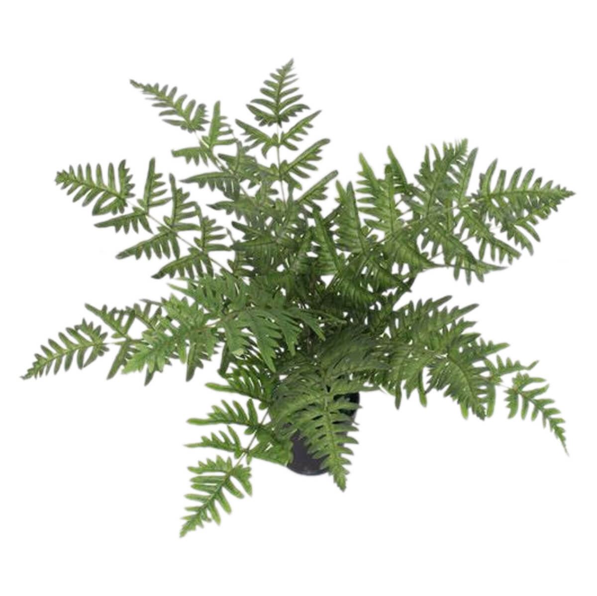 Leaf 50cm Realistic Artificial Fern Plant in Weighted Plastic Pot