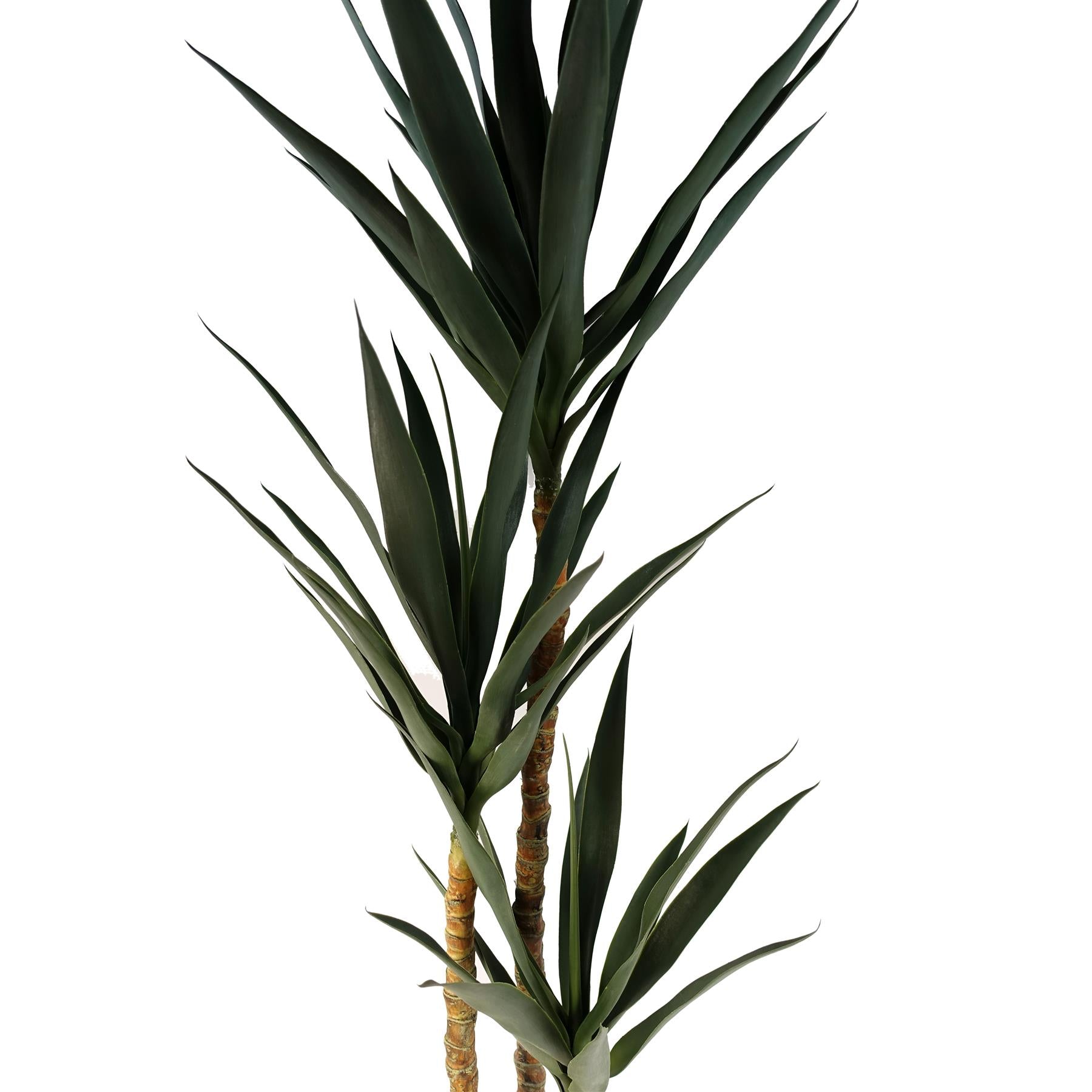Leaf 170cm Artificial Triple Yukka Tree Tropical Plant in Weighted Pot