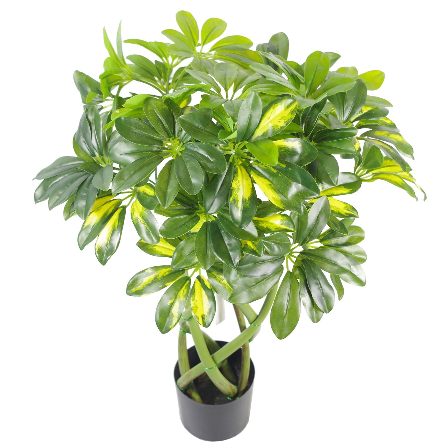 Leaf 70cm Artificial Gold Capella Arboricola Twisted Stem Bonsai Bush