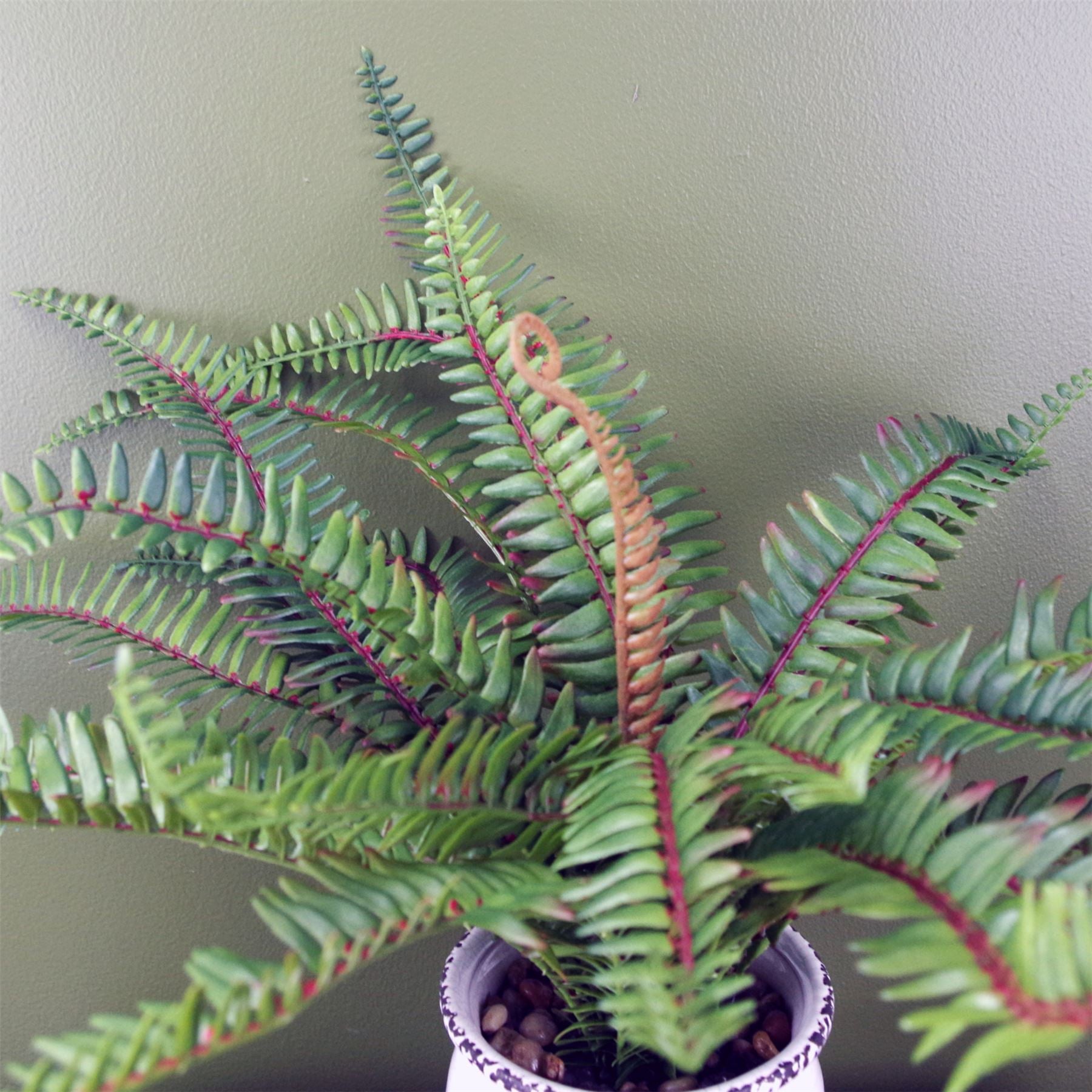Leaf 40cm Artificial Bushy Fern in Decorative Ceramic Vase Planter
