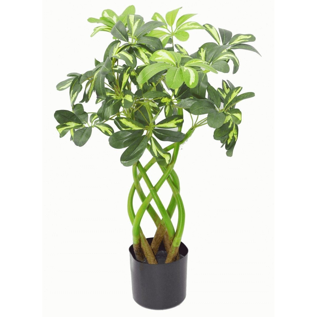 70cm Artificial Twisted Stem Arboricola Bonsai Bush with Silk Leaves and Wired Stems