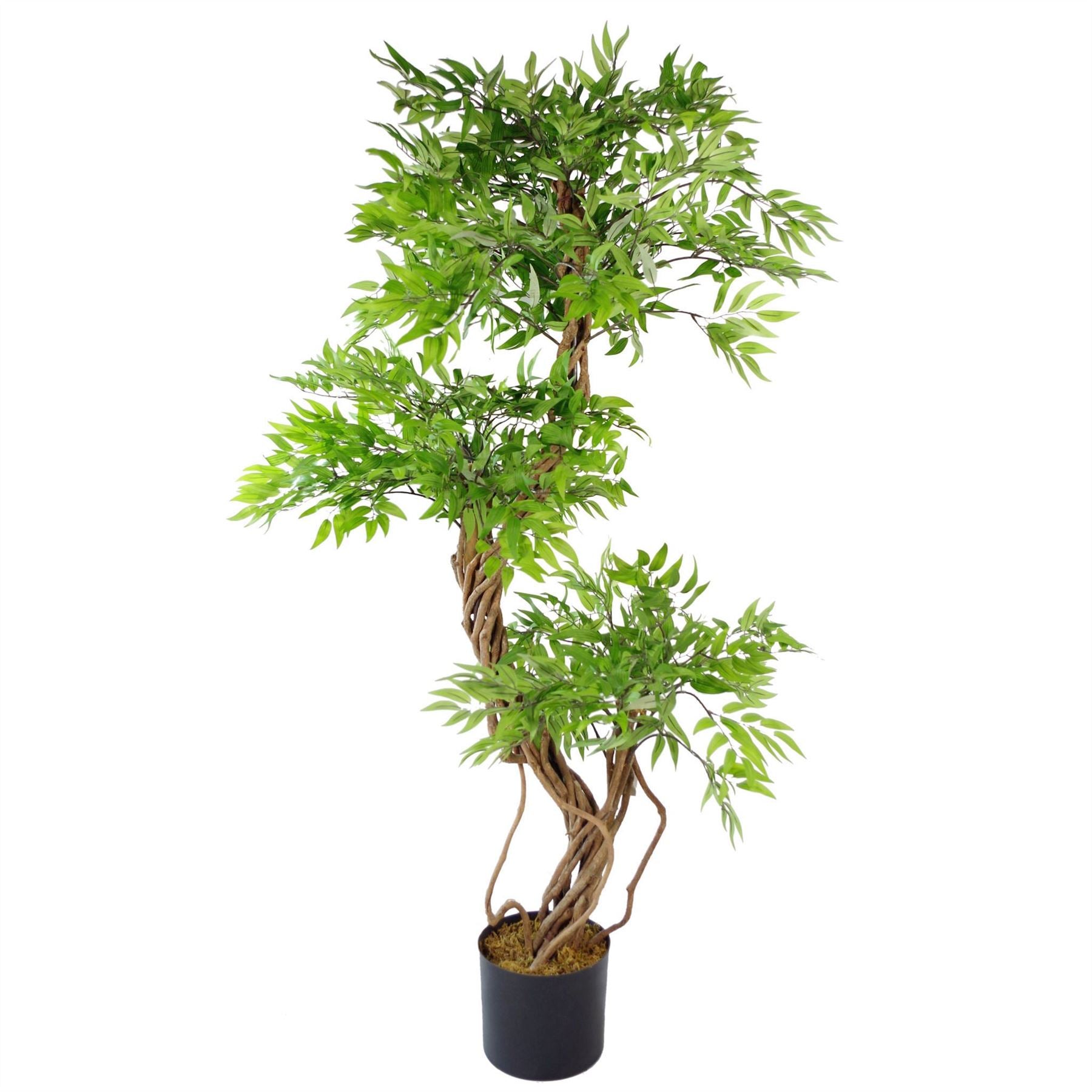 Leaf 140cm Artificial Japanese Fruticosa Evergreen Tree in Weighted Plastic Pot