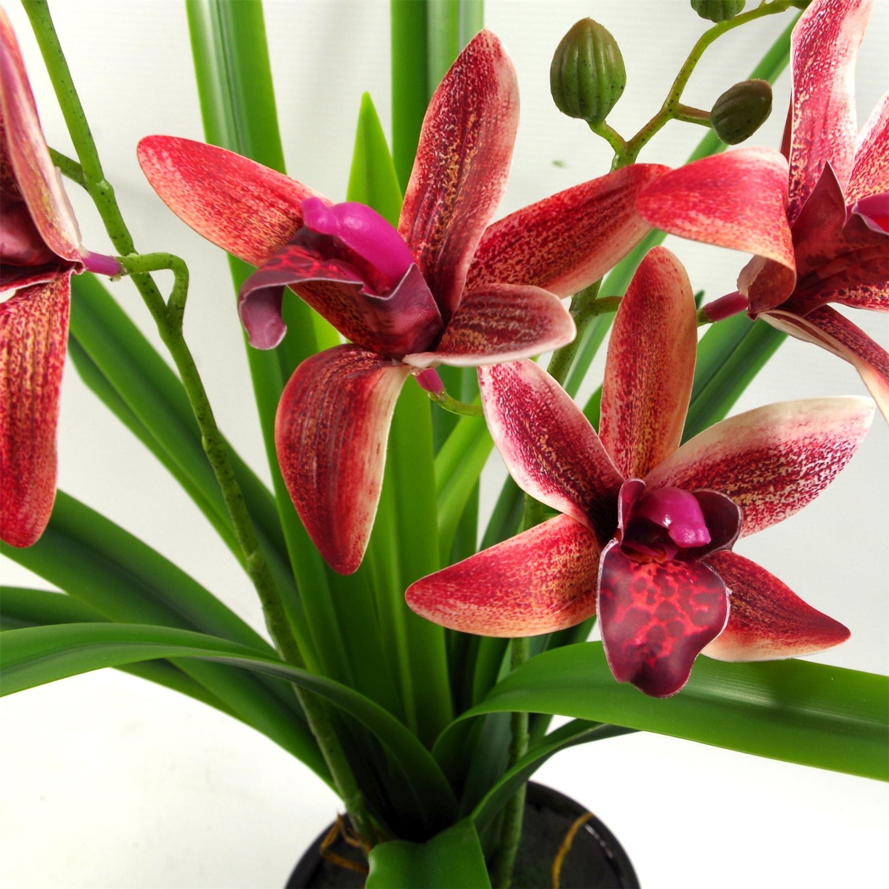 Leaf 50cm Dark Pink Artificial Orchid in Ceramic Planter, Fully Potted Ready to Display