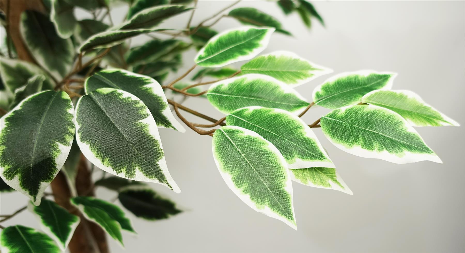 150cm Artificial Ficus Tree with 1008 Silk Leaves