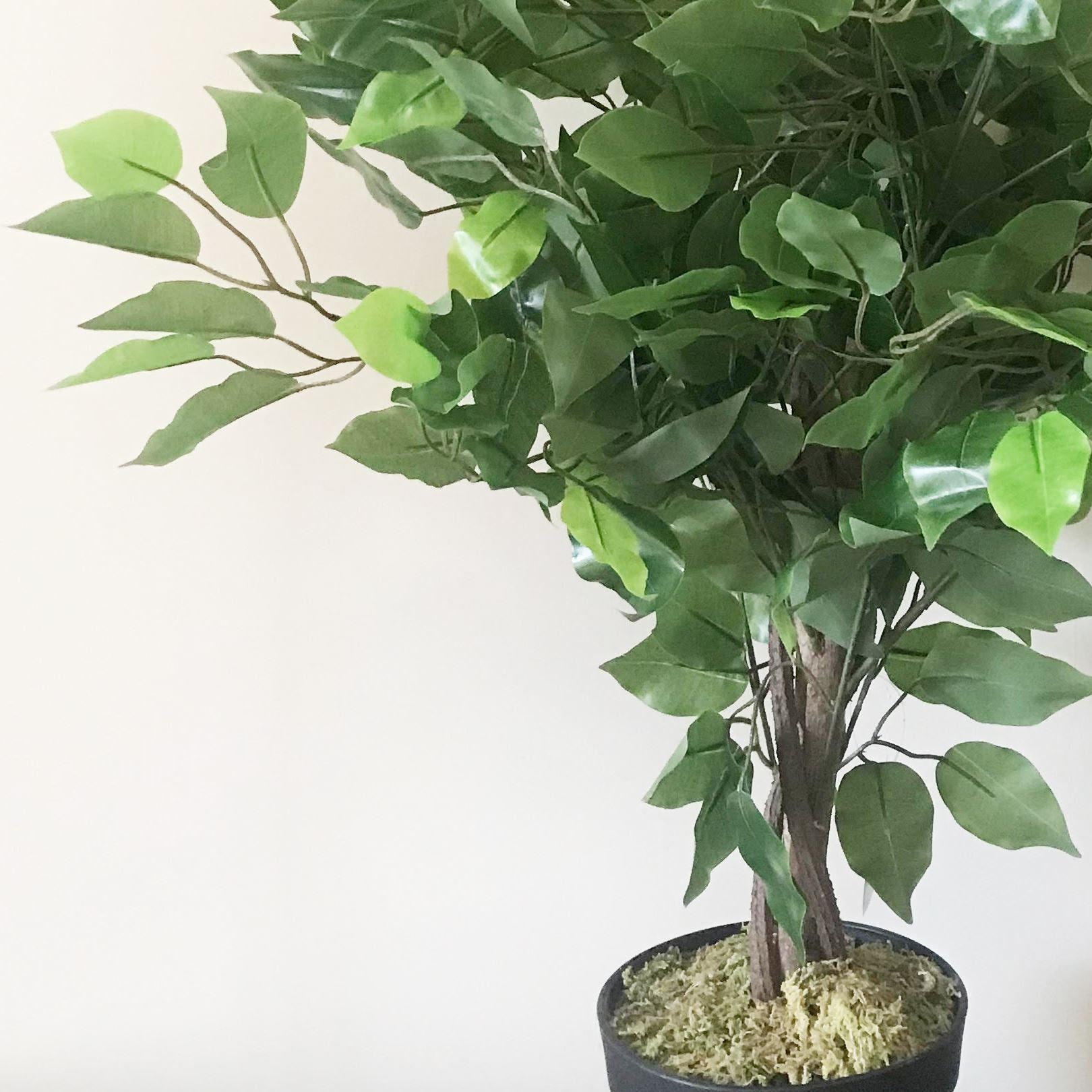 Leaf 60cm Artificial Ficus Tree with Natural Trunk, Wired Stems, Potted Indoor Plant