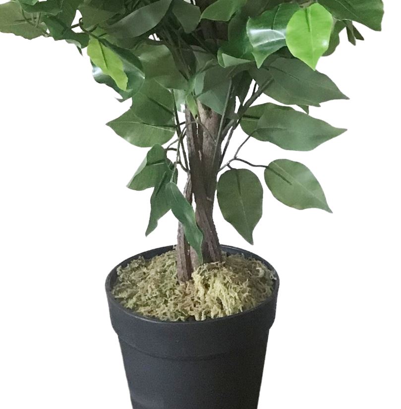 Leaf 60cm Artificial Ficus Tree with Natural Trunk, Wired Stems, Potted Indoor Plant