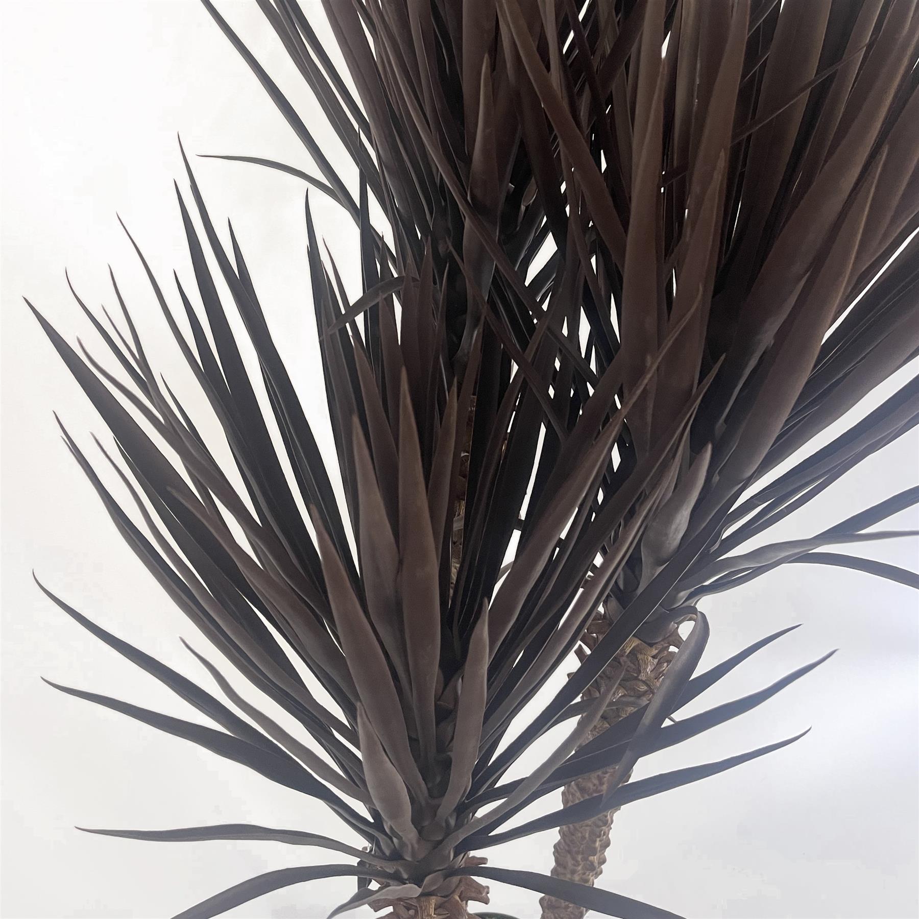 155cm UV Resistant Artificial XL Triple Yukka Tree Plant, Dark Brown Red