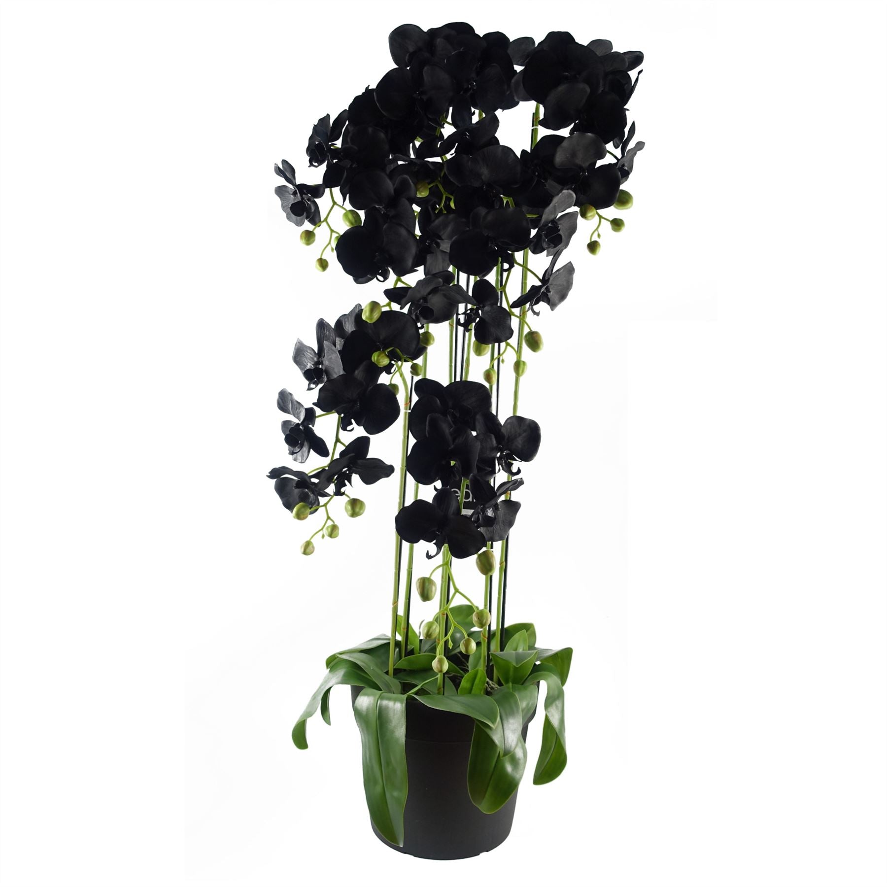 Leaf 110cm Large Black Artificial Orchid Plant with 41 Real Touch Flowers
