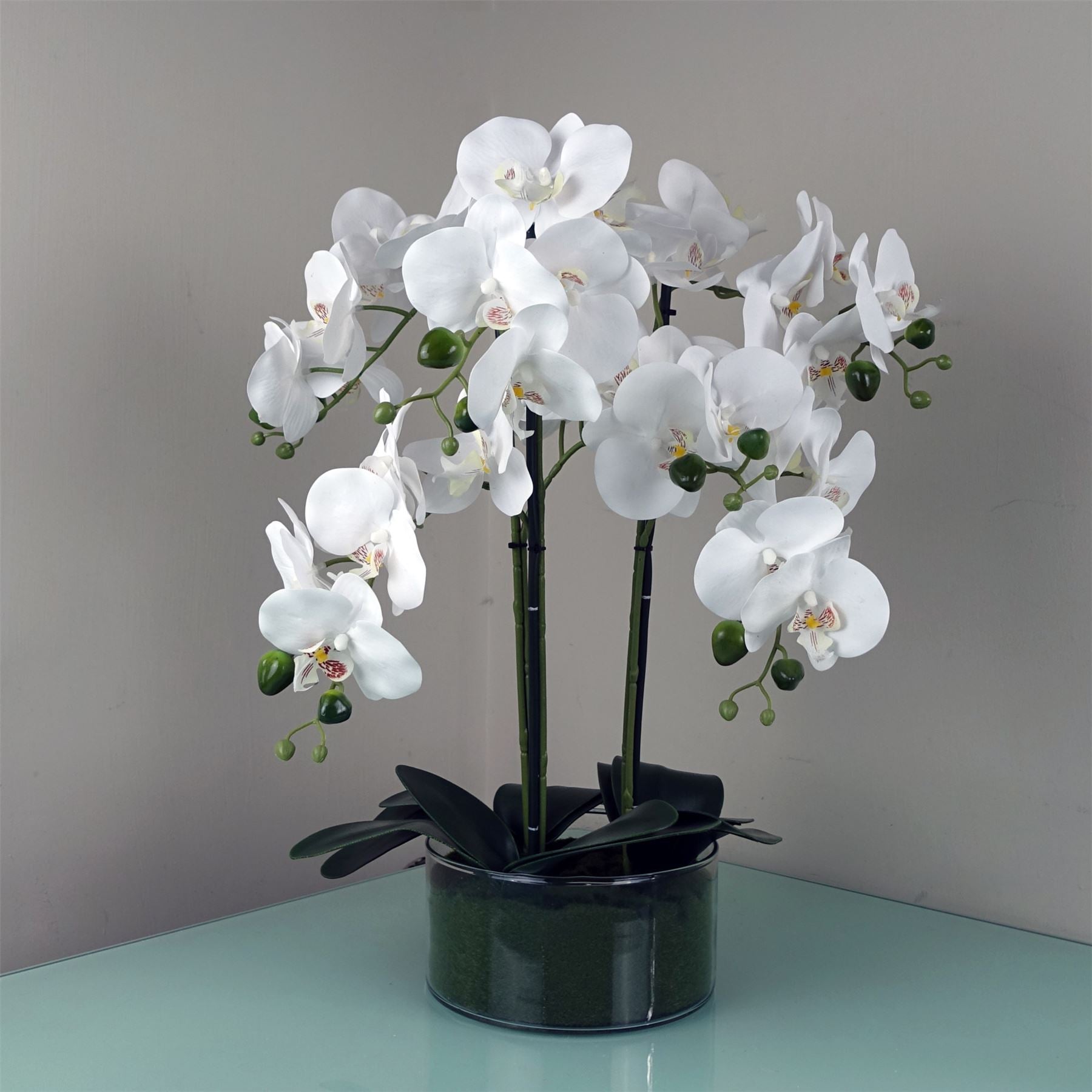 Leaf 50cm Artificial White Orchid with Glass Planter