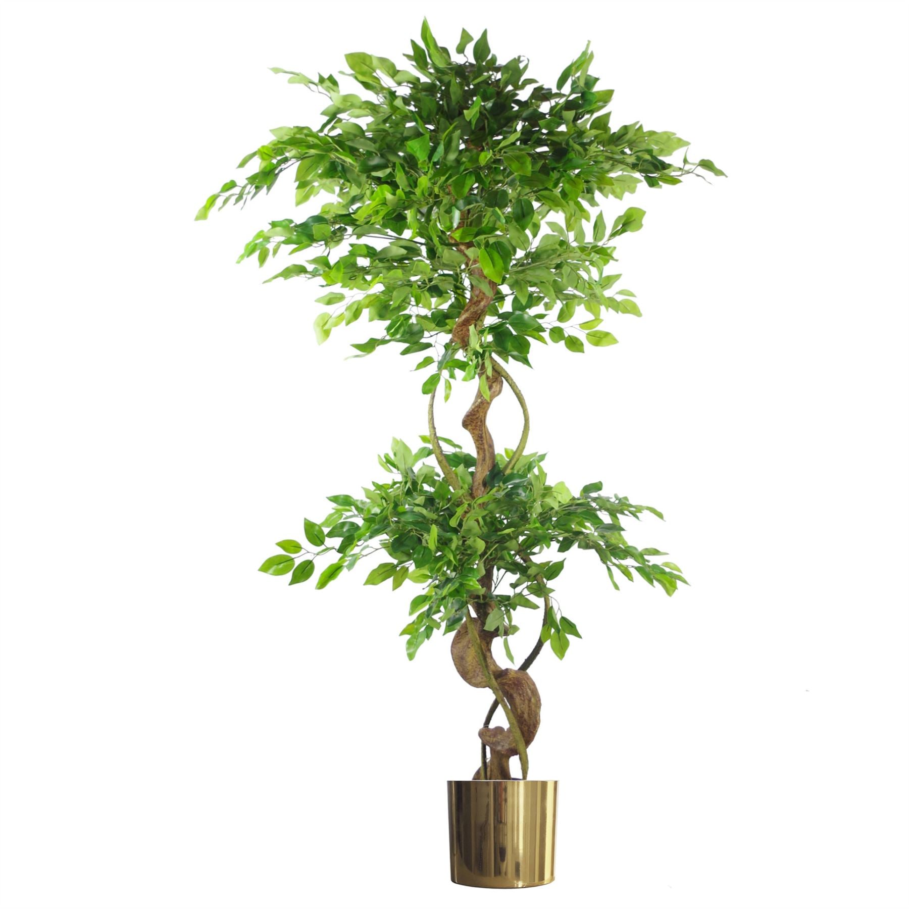 150cm Artificial Japanese Fruticosa Ficus Tree with Twisted Trunk and Metal Planter
