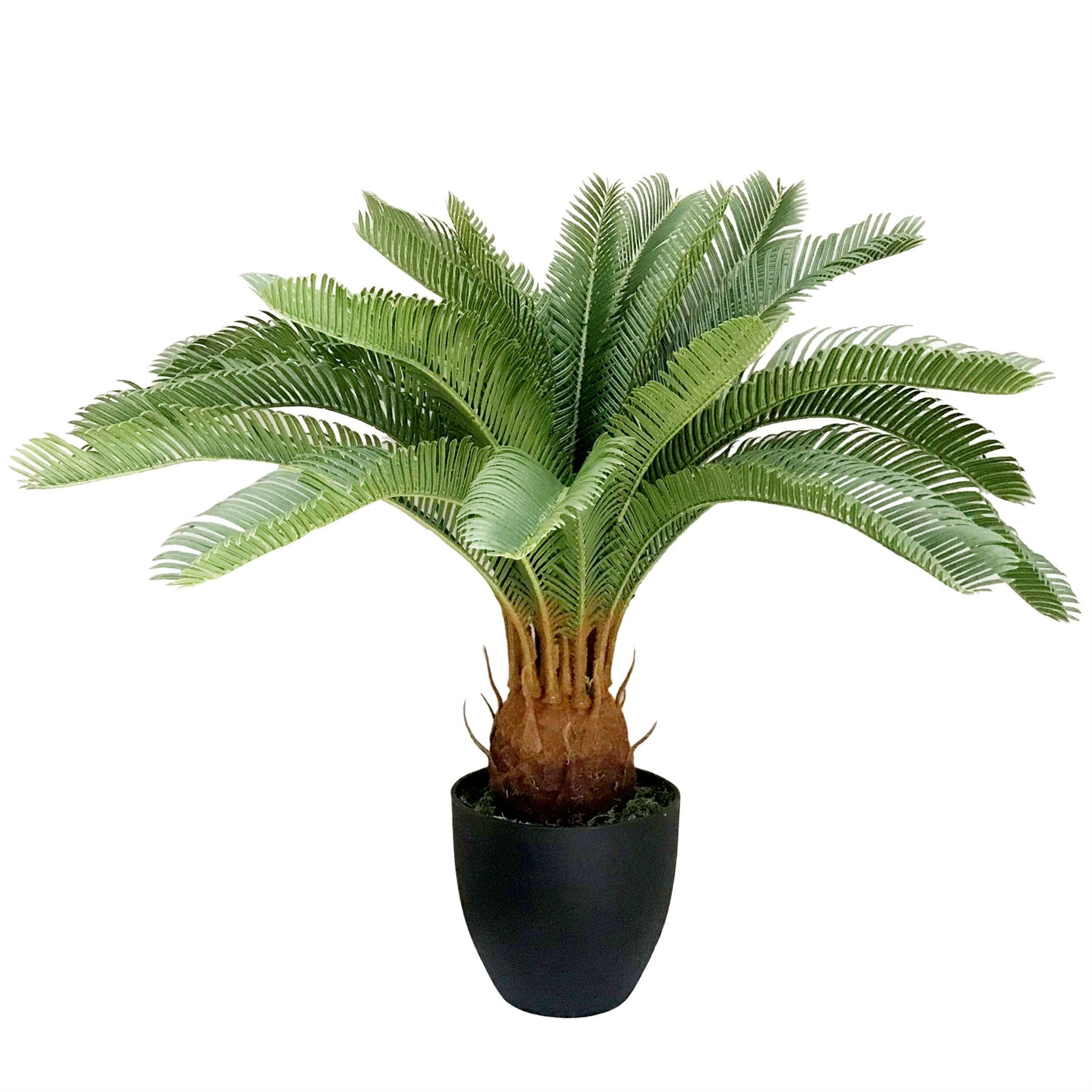 Leaf 70cm Artificial Tropical Cycas Palm Plant in Black Plastic Pot
