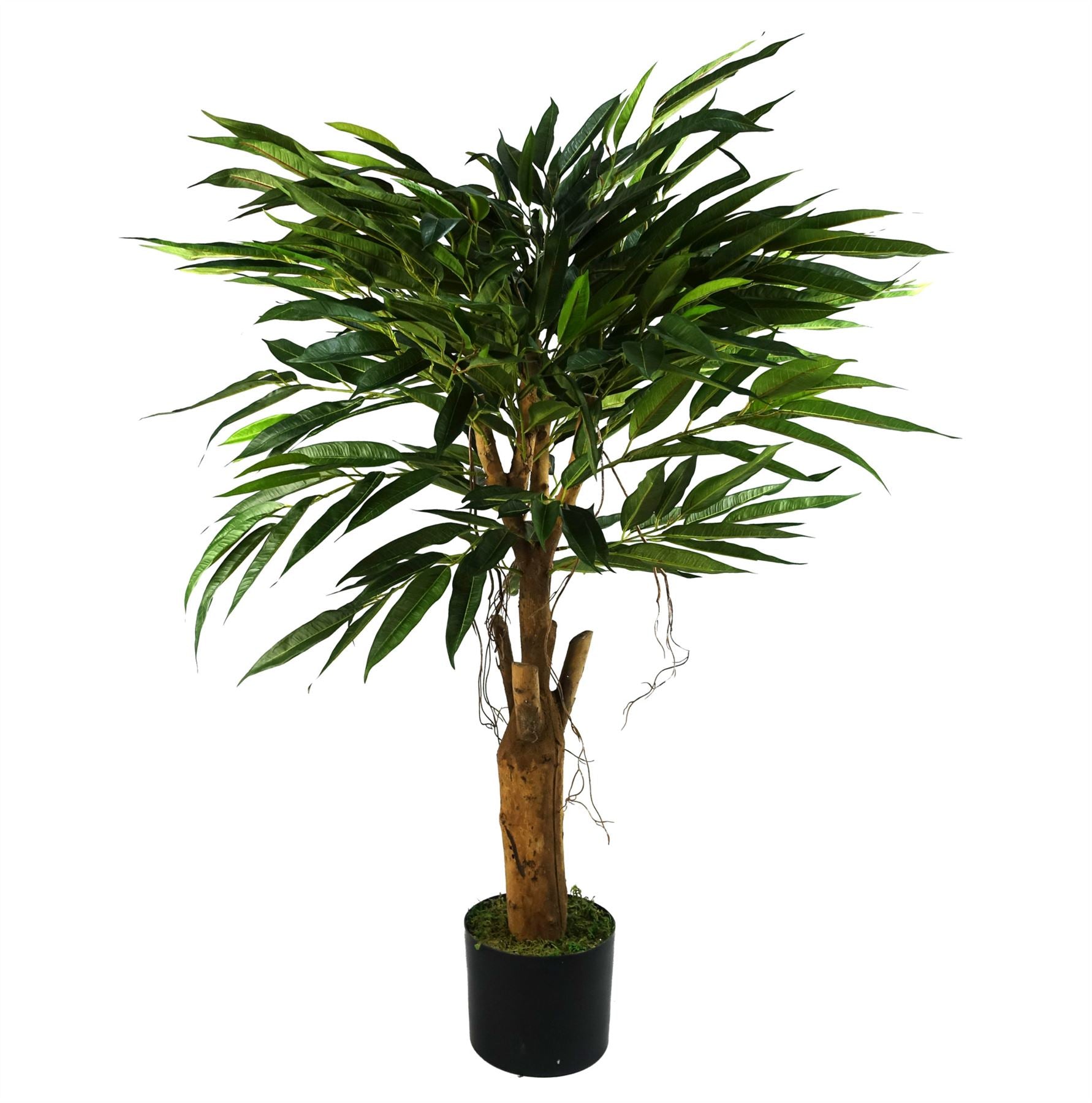 100cm Artificial Longfolia Ficus Tree with Natural Trunk, Silk Leaves, Hanging Plastic Vines, Potted in Black Pot