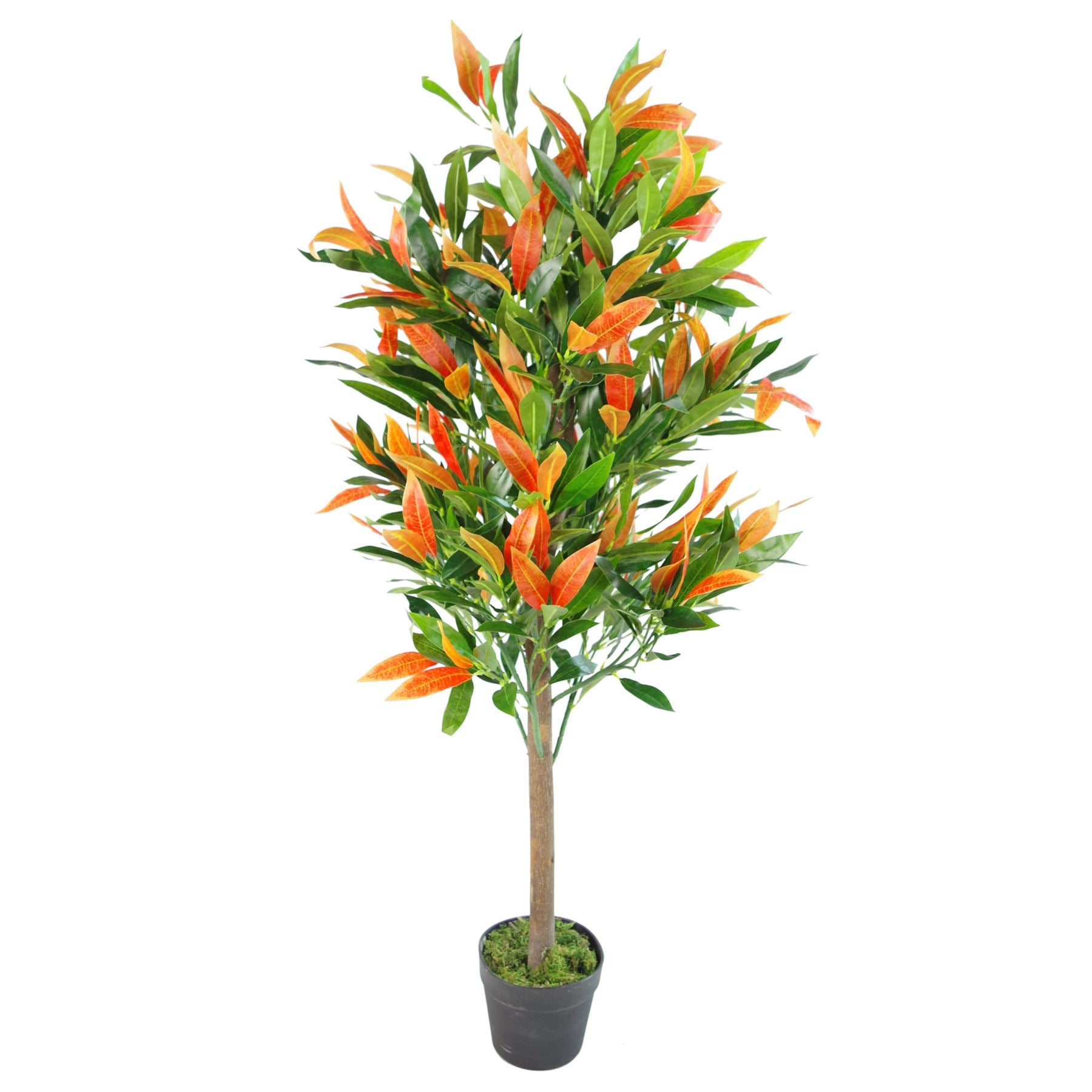Leaf 130cm Artificial Red and Green Ficus Tree in Black Pot with Moss Base