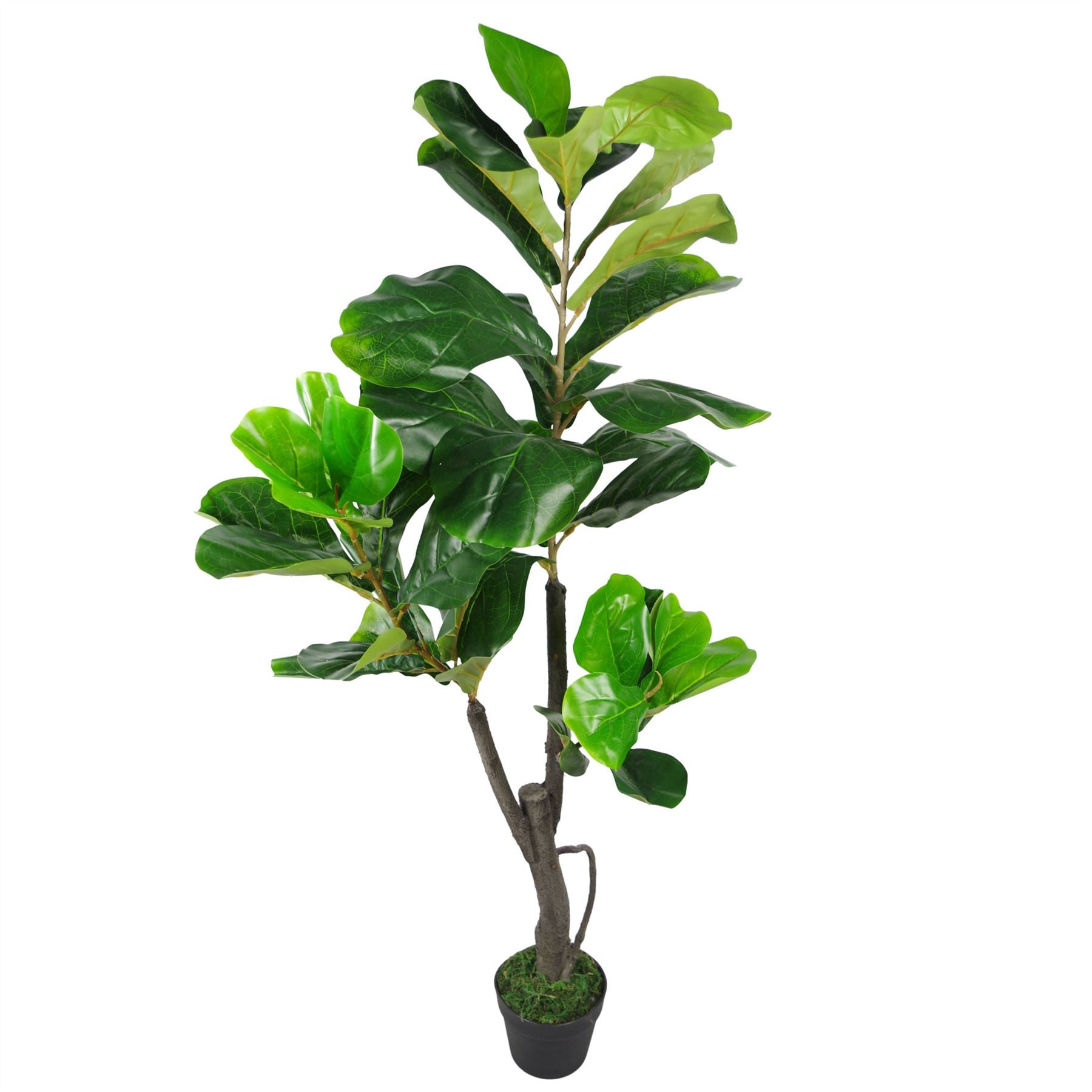Leaf 120cm (4ft) Artificial Fiddle Fig Tree Ficus Lyrata Plant in Plain Plastic Pot