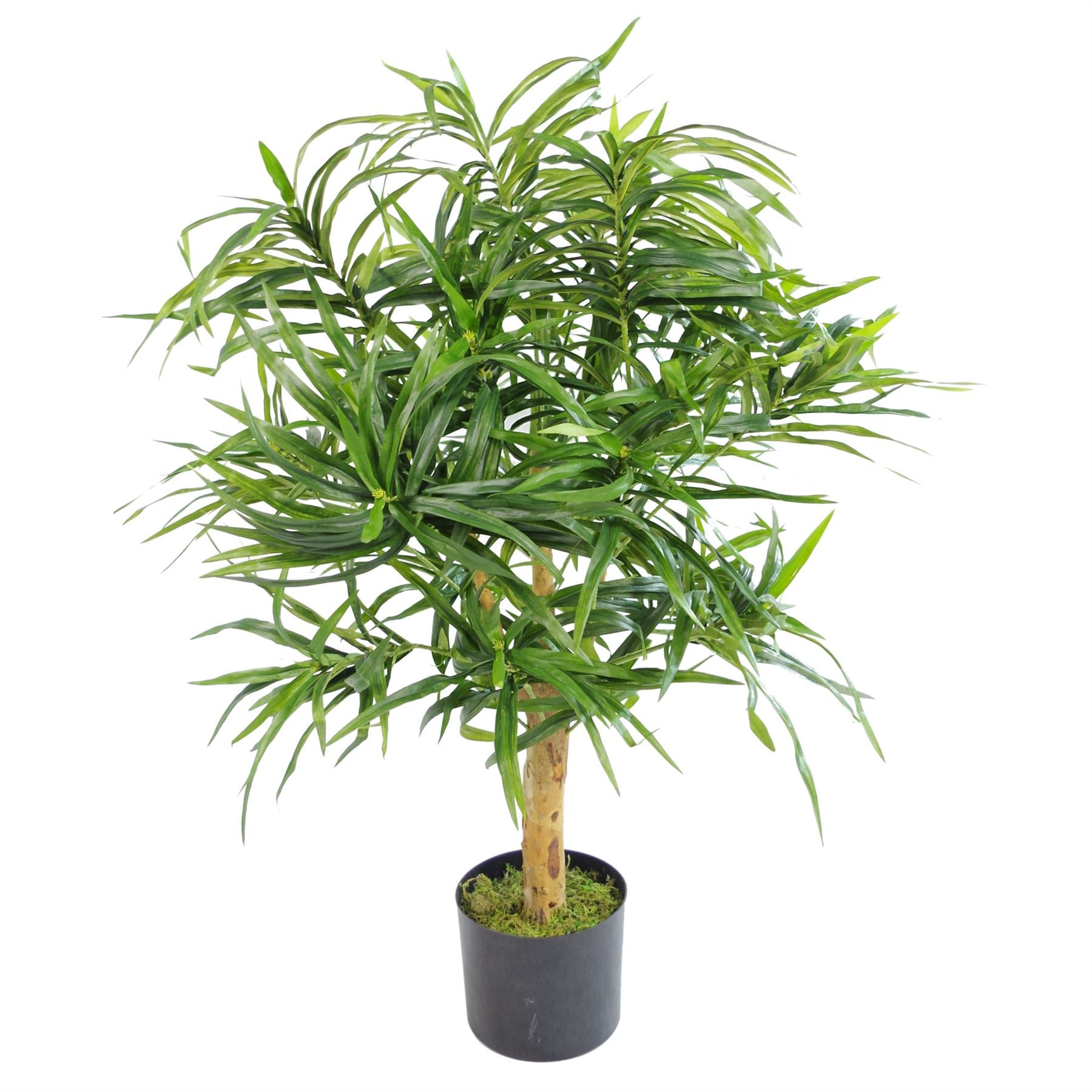 100cm Artificial Dracaena Tree in Pot - Premium Range