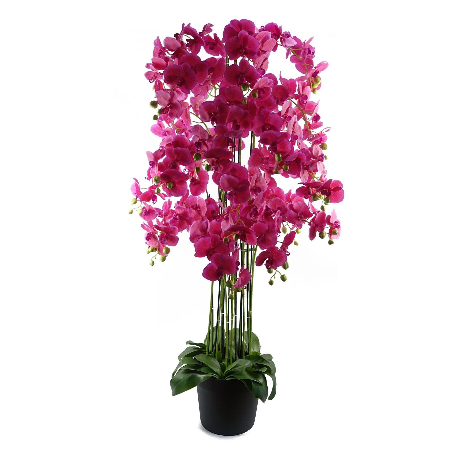 Leaf 150cm Giant Pink Artificial Orchid Plant, 189 Real Touch Flowers