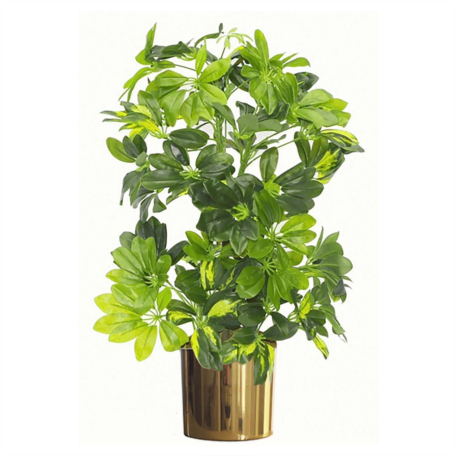 Leaf 75cm Artificial Arboricola Gold Capella Plant with Metal Planter