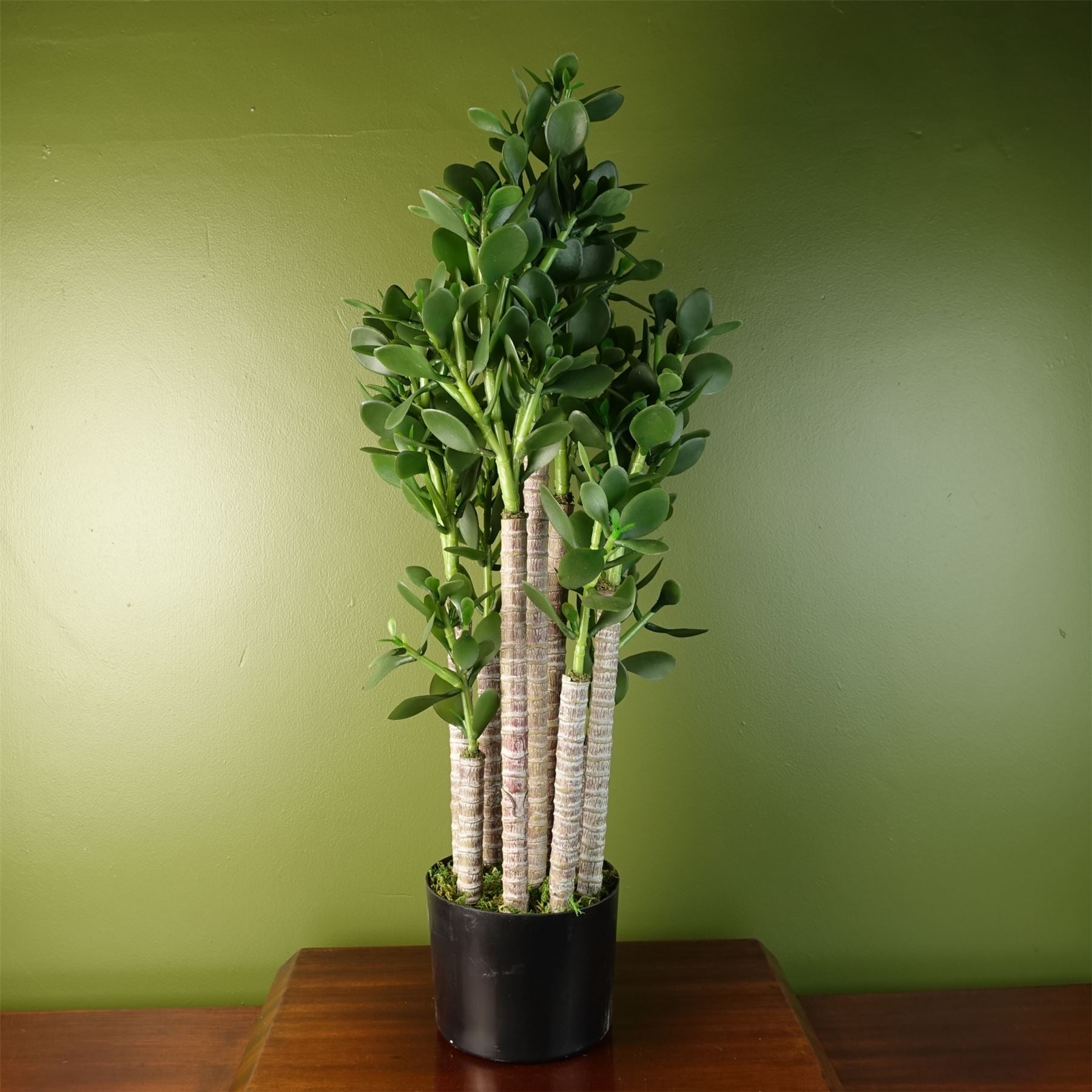 Leaf Artificial Deluxe 75cm Green Jade Plant in Weighted Plastic Pot