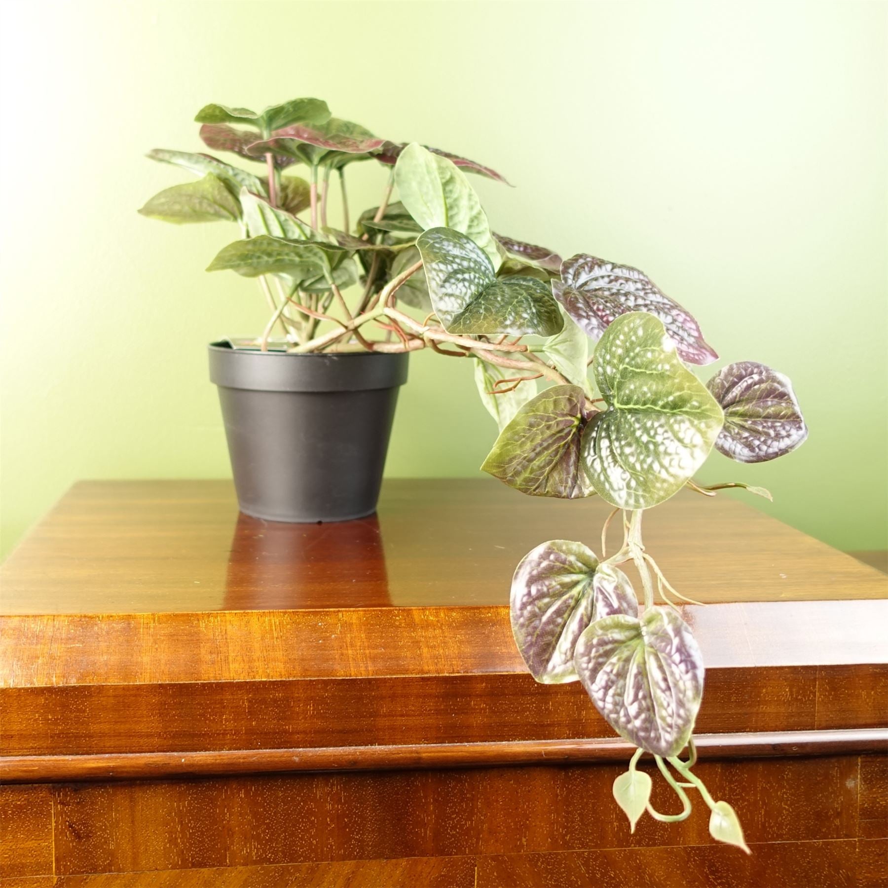 Leaf 35cm Artificial Trailing Purple Potted Pothos Plant in Black Pot Realistic