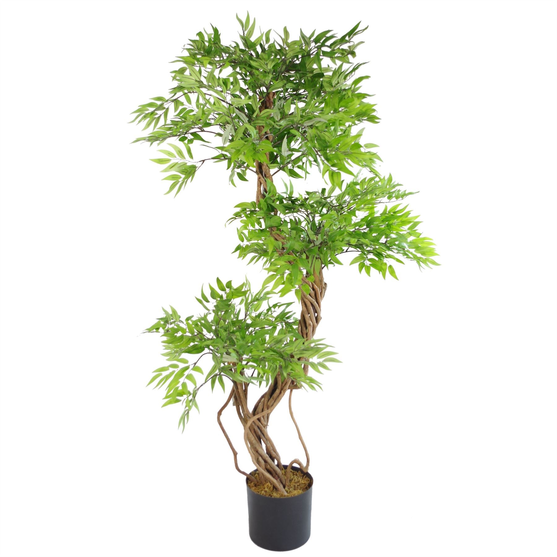 140cm Realistic Artificial Ruscus Tree with Natural Wood Trunk in Black Plastic Pot
