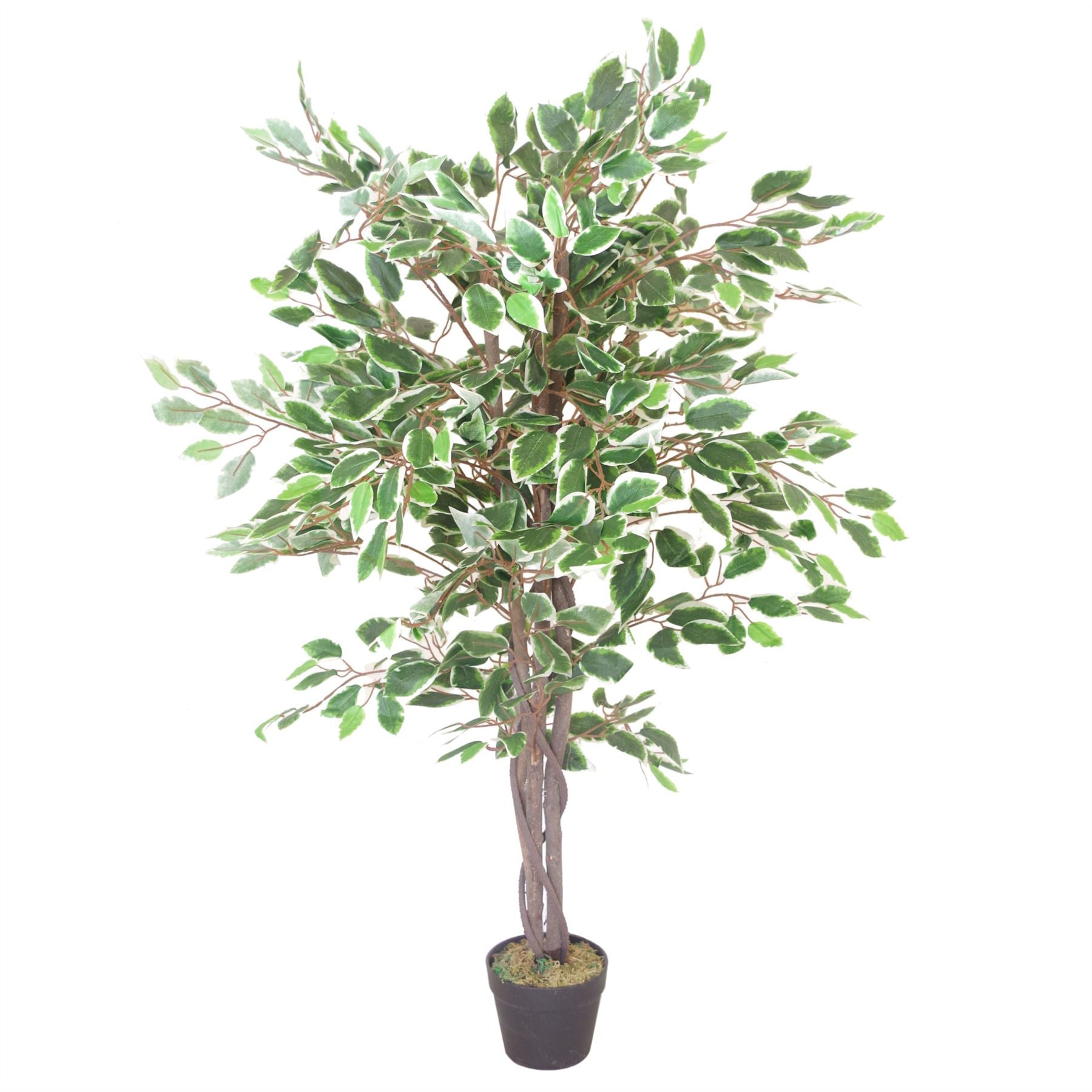 Leaf 130cm Realistic White Edge Ficus Artificial Tree
