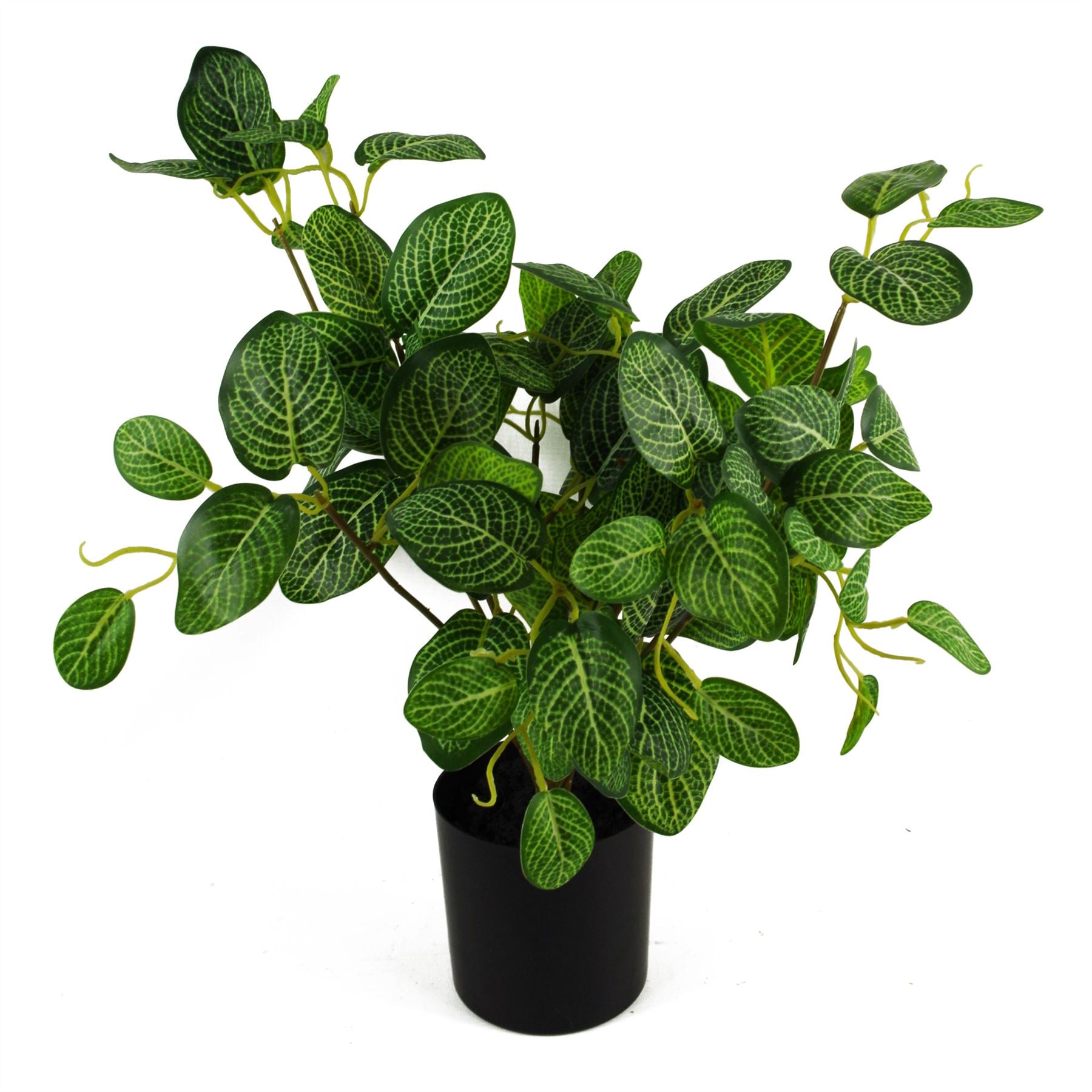 Leaf 40cm Artificial Variegated Pothos Plant in Black Plastic Pot