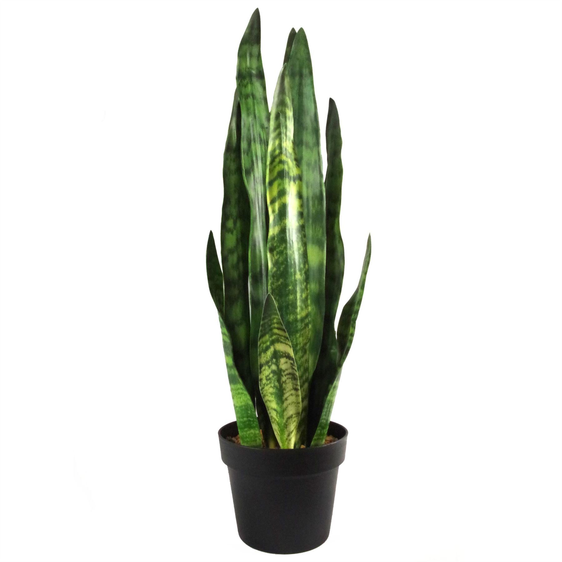 Leaf 70cm Artificial Sansevieria Zeylanica Plant in Black Plastic Pot
