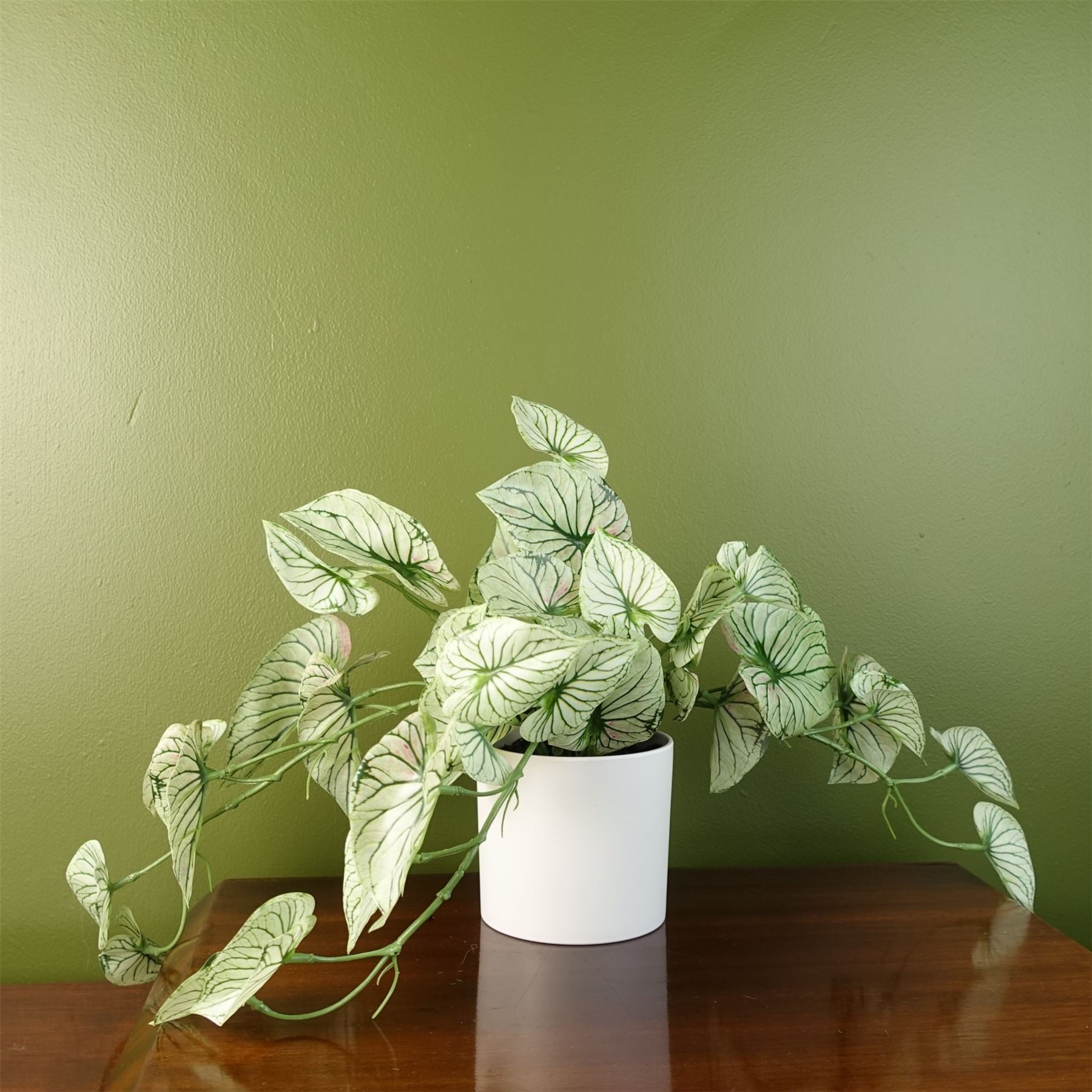 Leaf Artificial Trailing Variegated Alocasia Plant in White Decorative Pot, 30cm Tall, Realistic Faux Plant