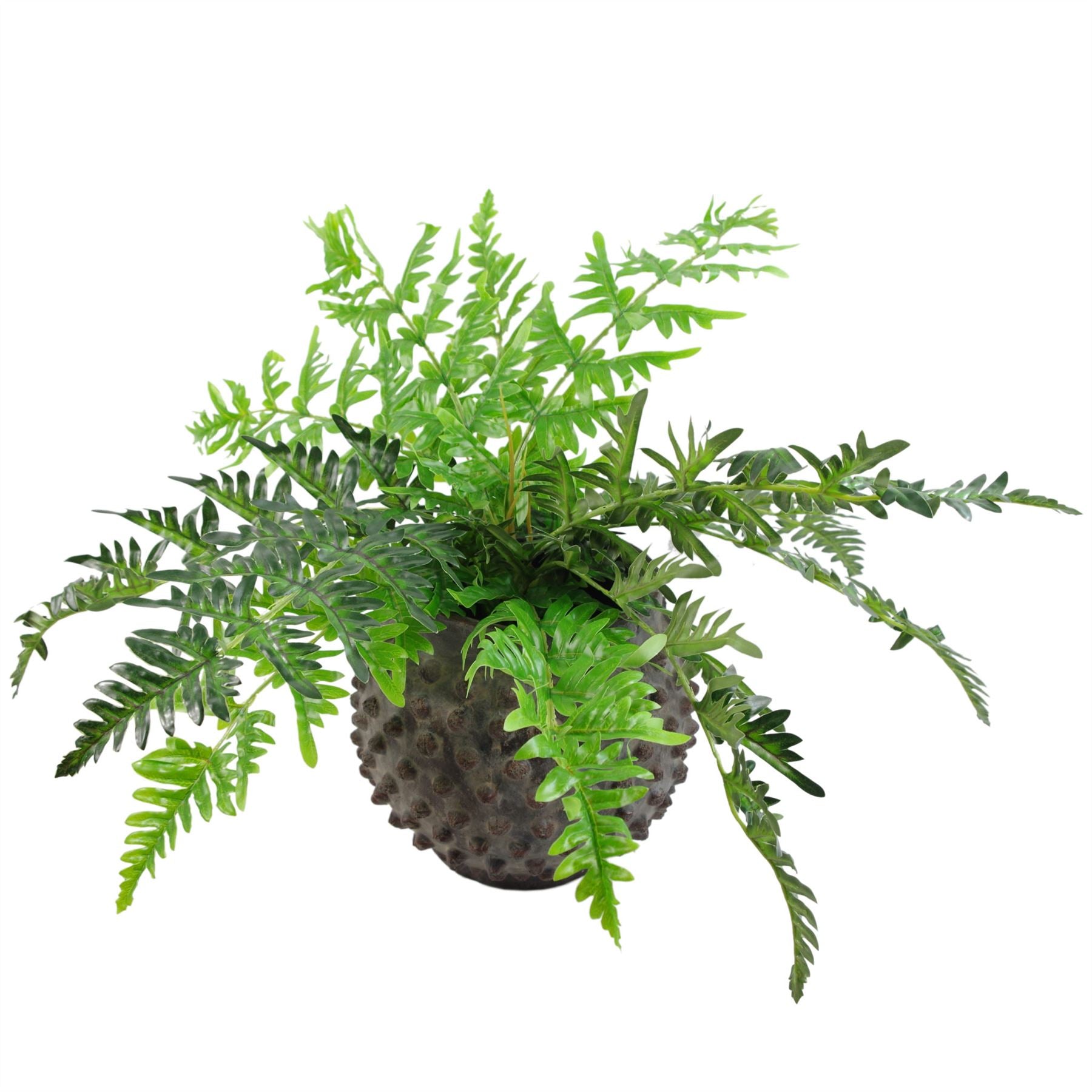 Leaf 50cm Artificial Evergreen Fern Plant with Wired Stems in Plastic Pot