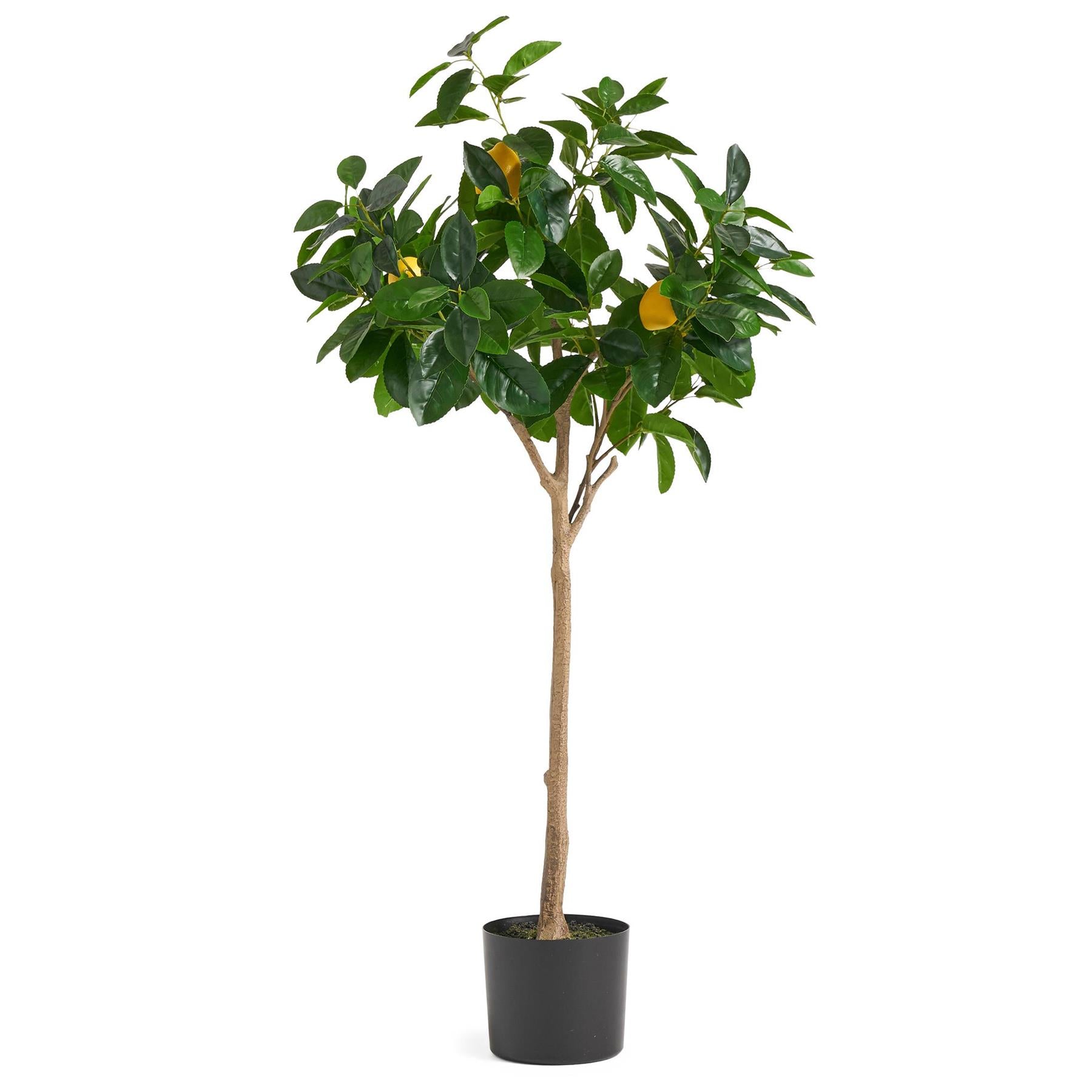Leaf Premium 120cm Realistic Artificial Lemon Tree in Pot