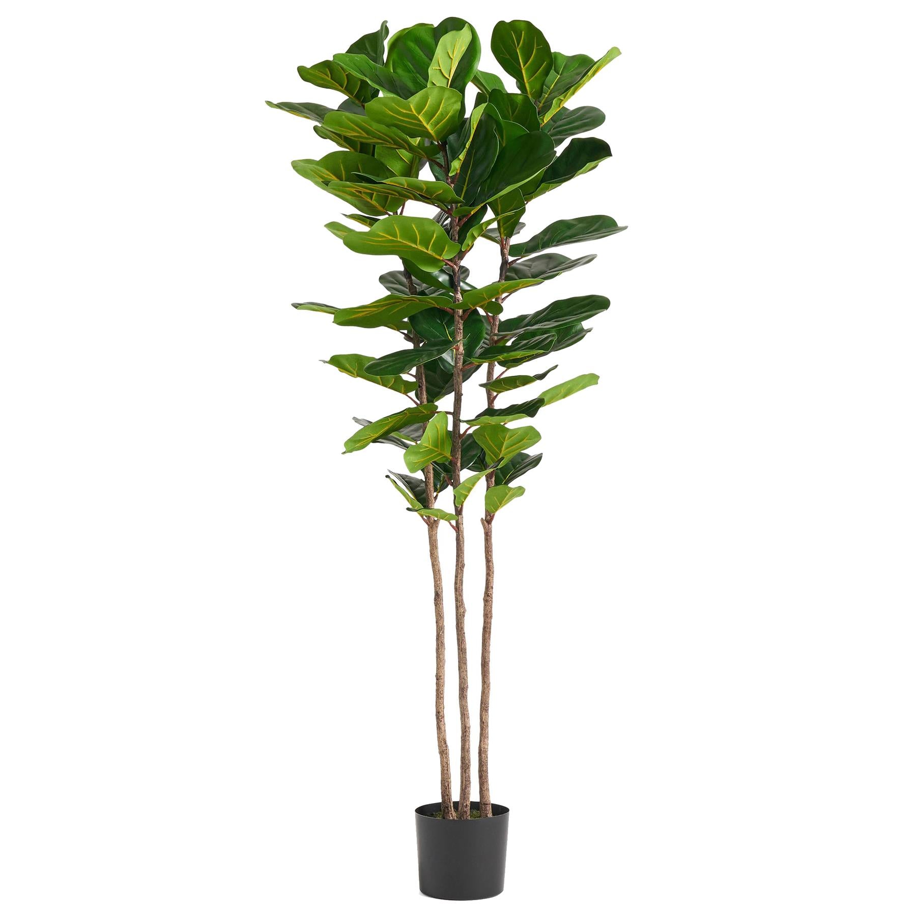 Leaf 180cm Premium Artificial Fiddle Leaf Fig Tree in Weighted Plastic Pot