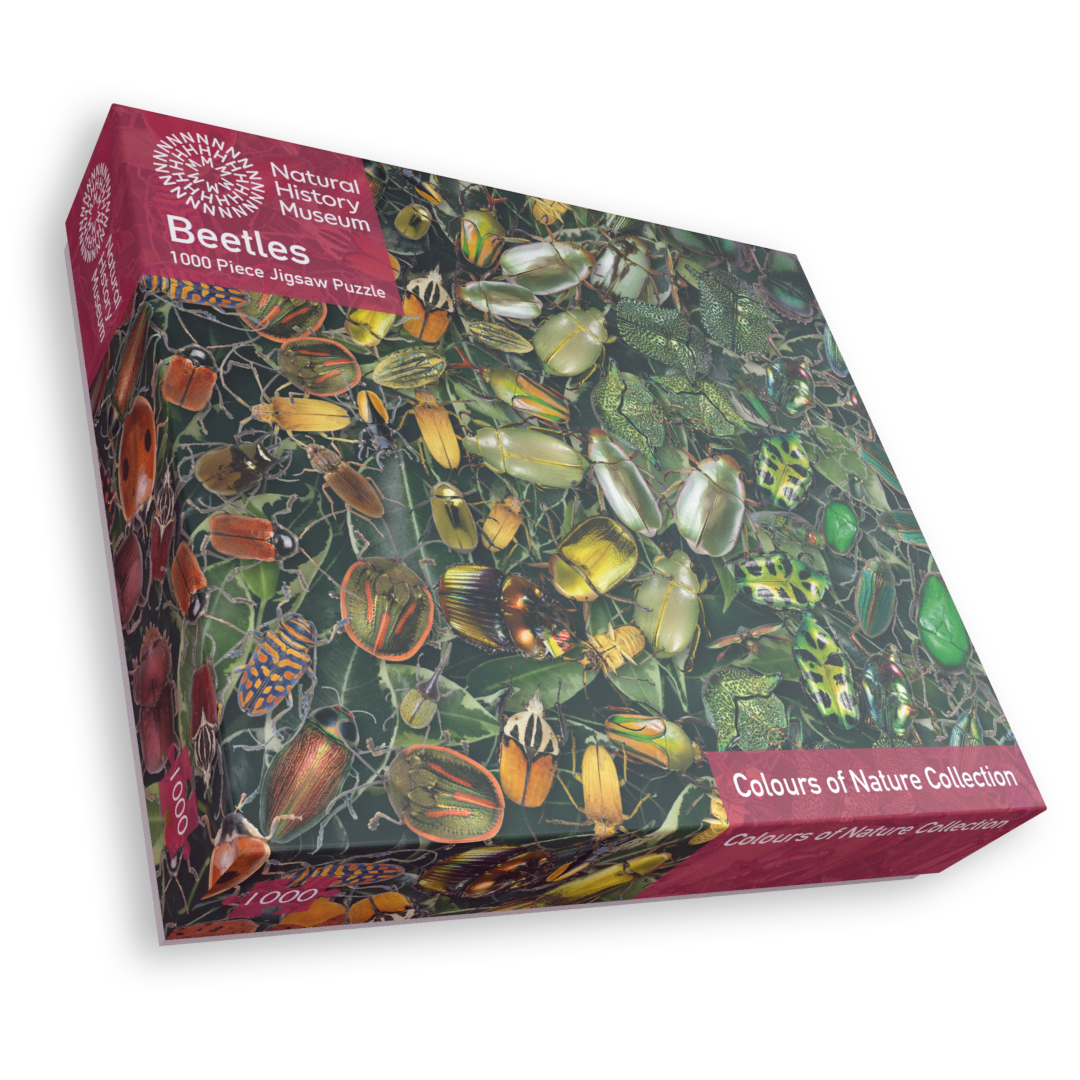 Natural History Museum Beetles 1000-Piece Jigsaw Puzzle
