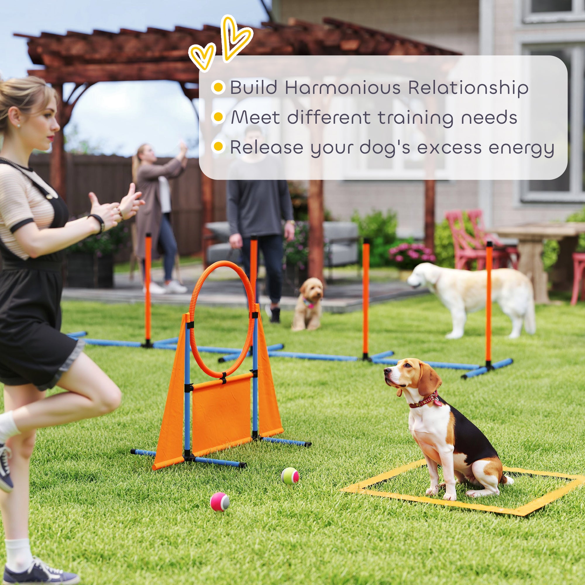 PawHut 6-Piece Dog Agility Training Kit with Jumps and Weave Poles