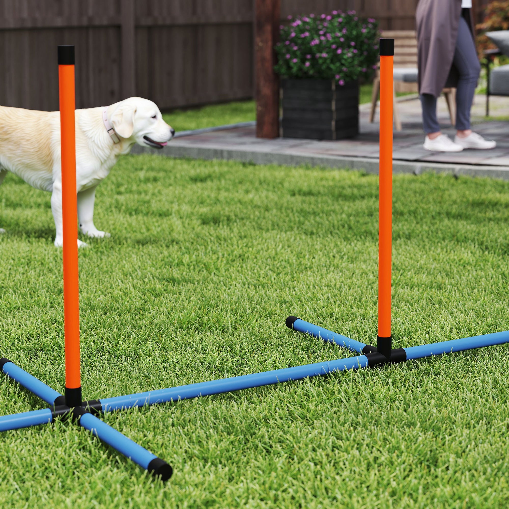 PawHut 6-Piece Dog Agility Training Kit with Jumps and Weave Poles