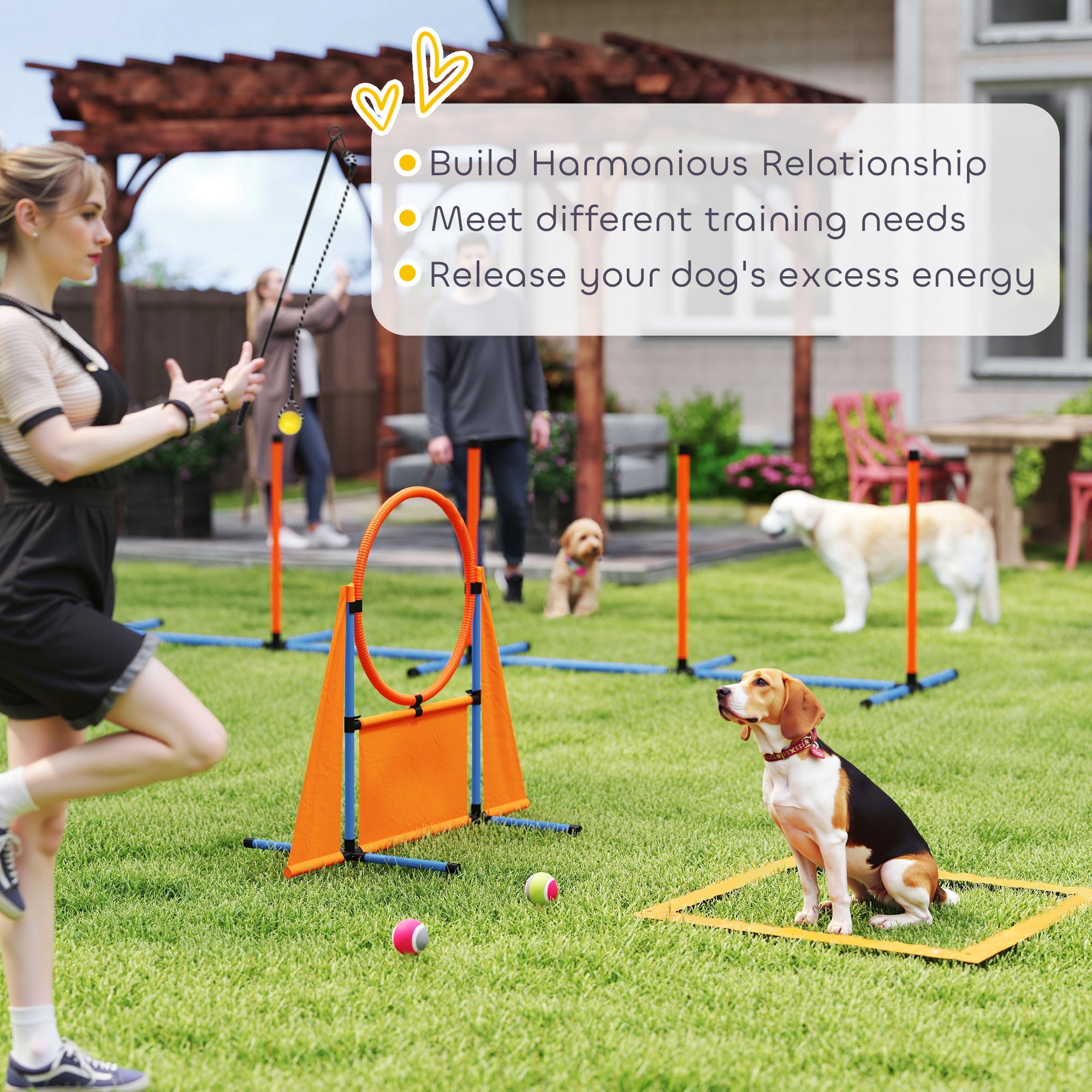 PawHut 7-Piece Dog Agility Training Course Kit with Adjustable Jumps