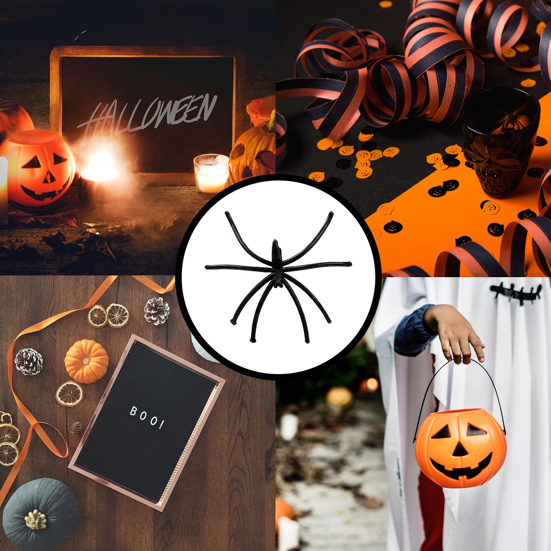 Vinsani Pack of 24 Black Plastic Halloween Spider Decorations