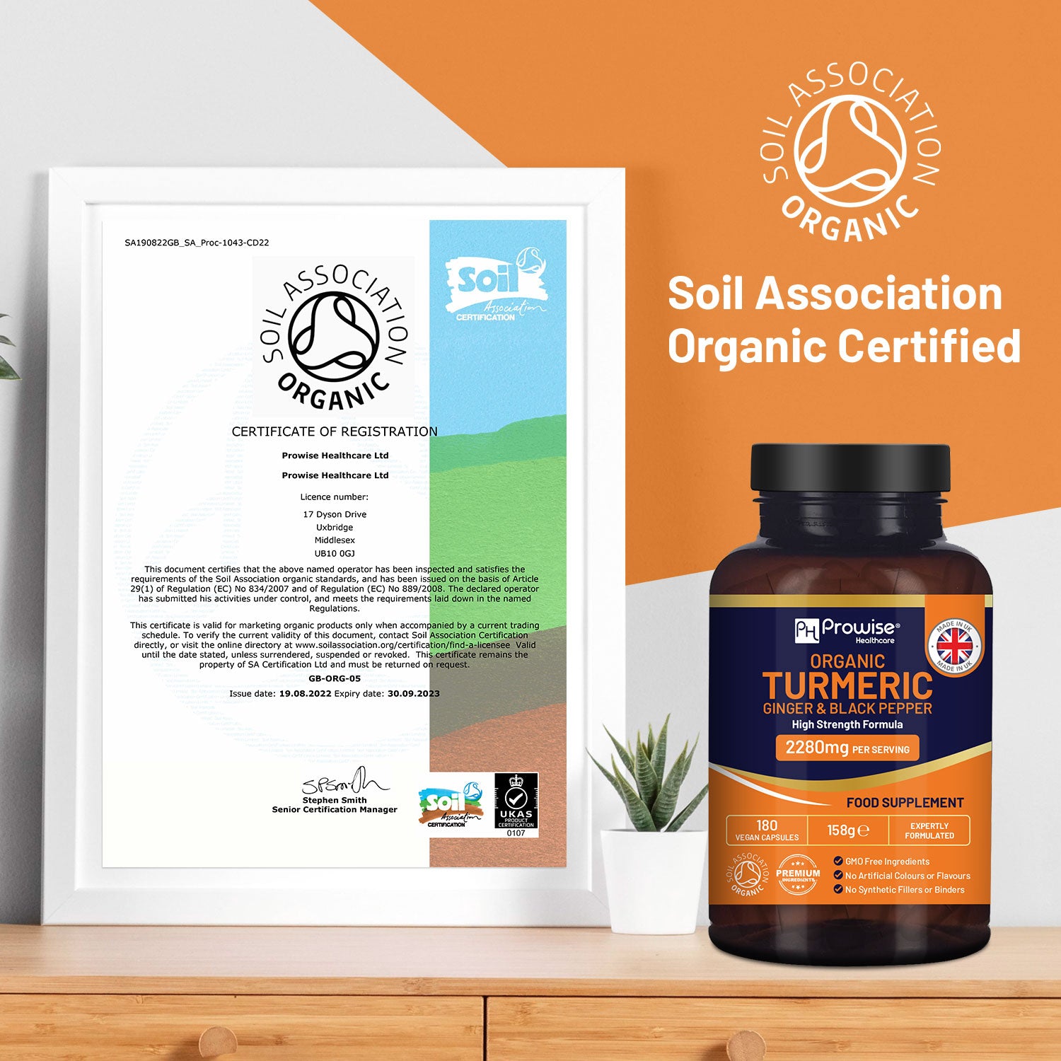 Prowise Healthcare Organic Turmeric Capsules with Ginger & Black Pepper