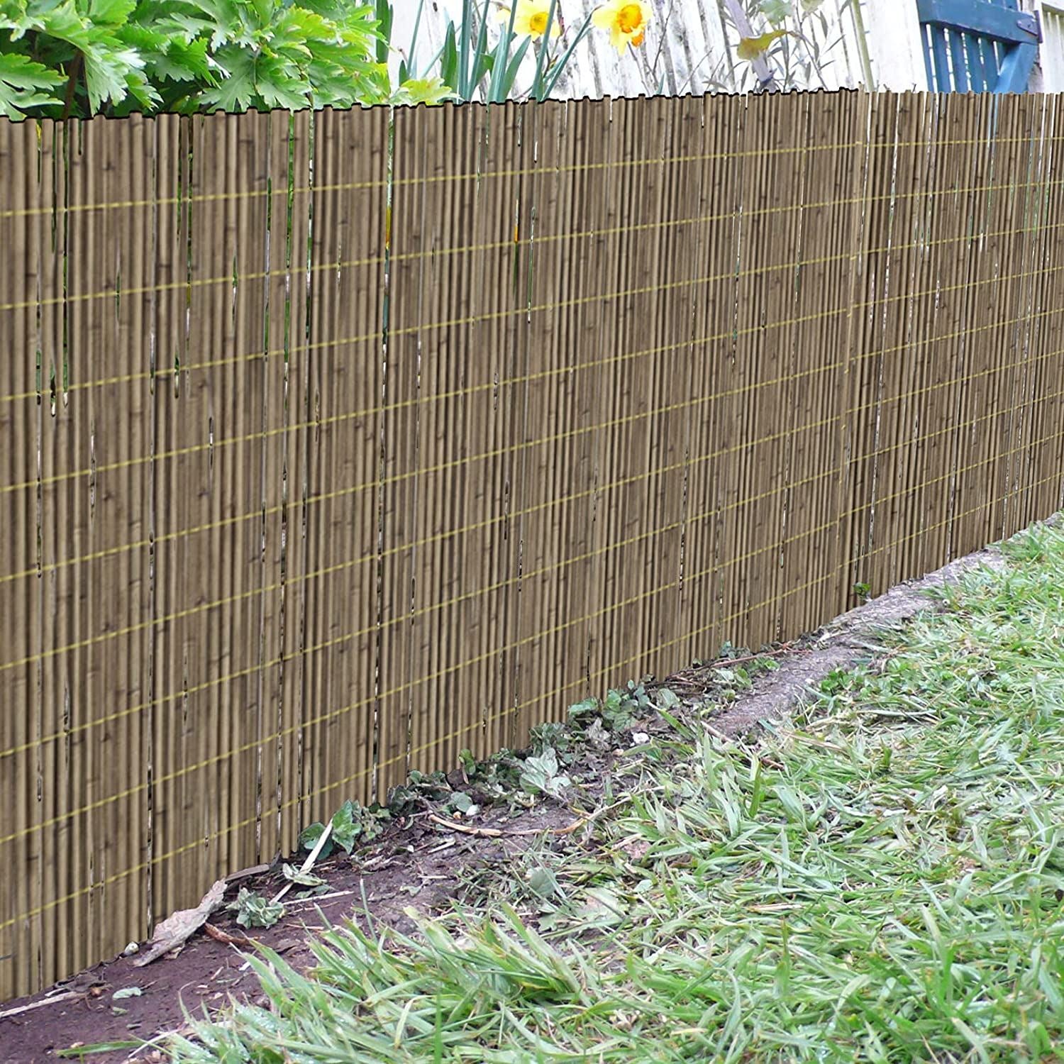 Reed Fence Screening Roll 9-10mm Thick 1.2m x 3m