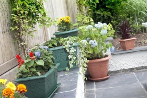 Whitefurze G02044 38cm Square Venetian Planter - Terracotta