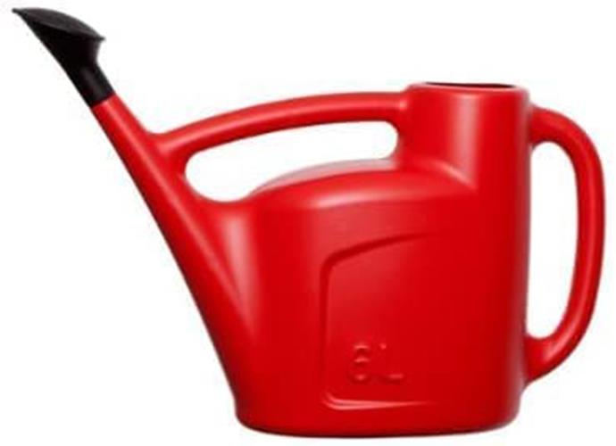 Whitefurze 6L Watering Can with Wrap Around Handle and Detachable Sprinkler Rose