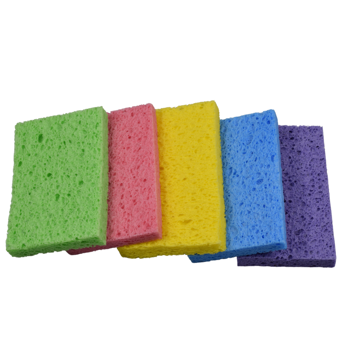 Re:gn Magic Compressed Plant-Based Sponges (5-Pack)