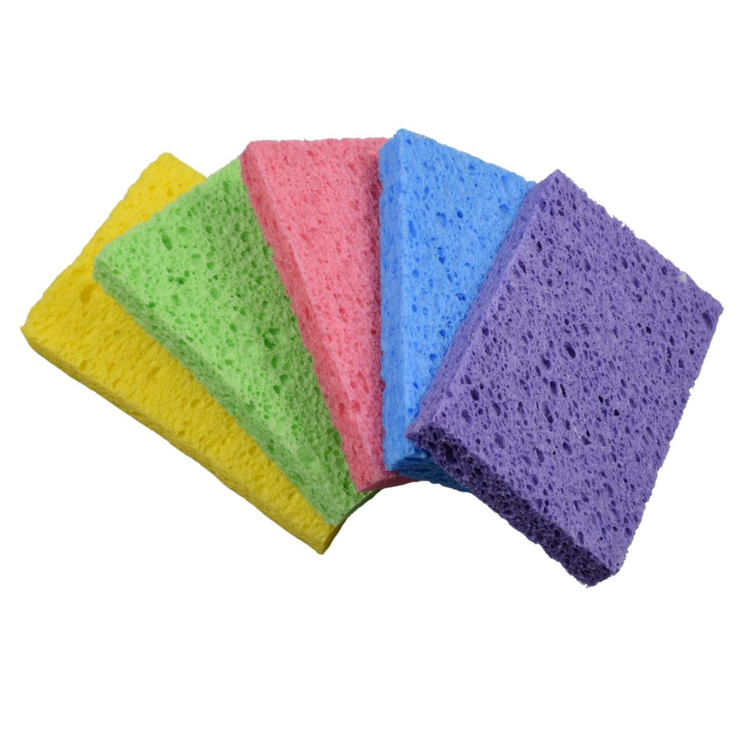 Re:gn Magic Compressed Plant-Based Sponges (5-Pack)