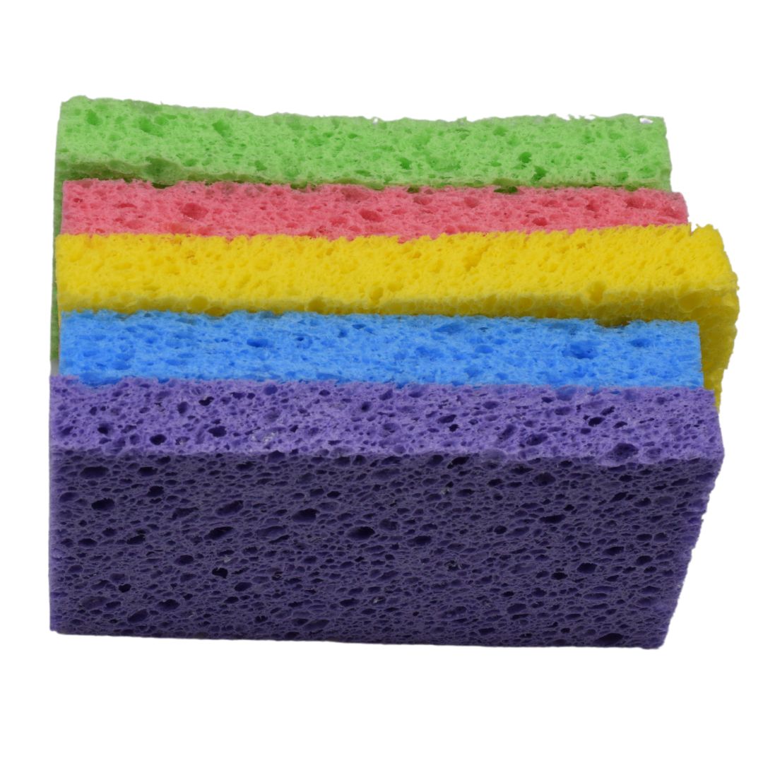 Re:gn Magic Compressed Plant-Based Sponges (5-Pack)