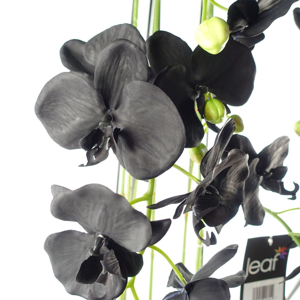 Leaf 110cm Large Black Artificial Orchid Plant with 41 Real Touch Flowers