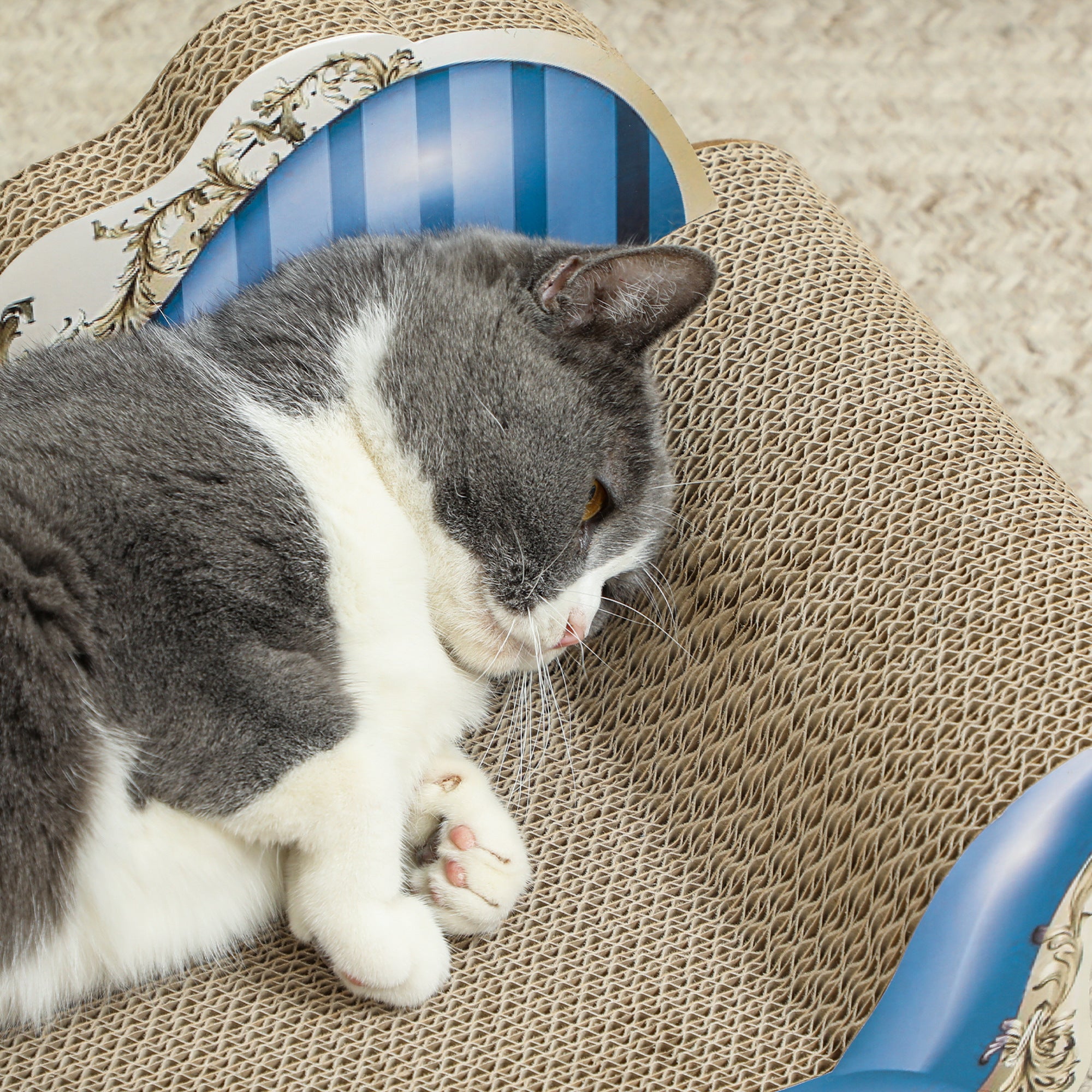 PawHut 2-in-1 Cat Scratcher and Lounge Bed with Catnip, Cardboard Cat Sofa Bed