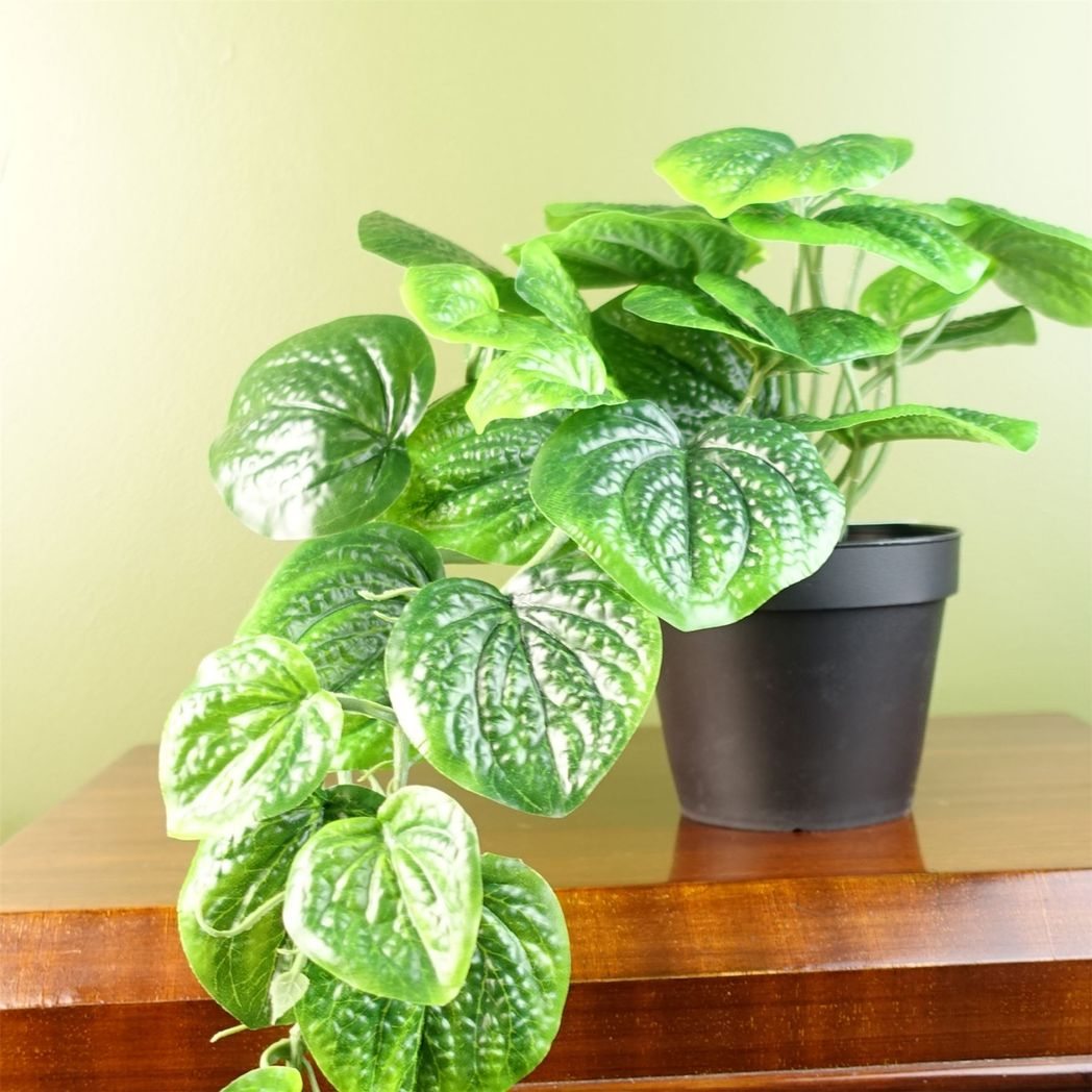 Leaf 35cm Artificial Trailing Pothos Plant in Potted Display Realistic