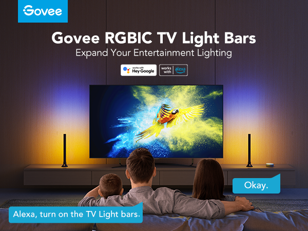 GOVEE RGBIC TV LIGHT BAR 45-70 IN TV